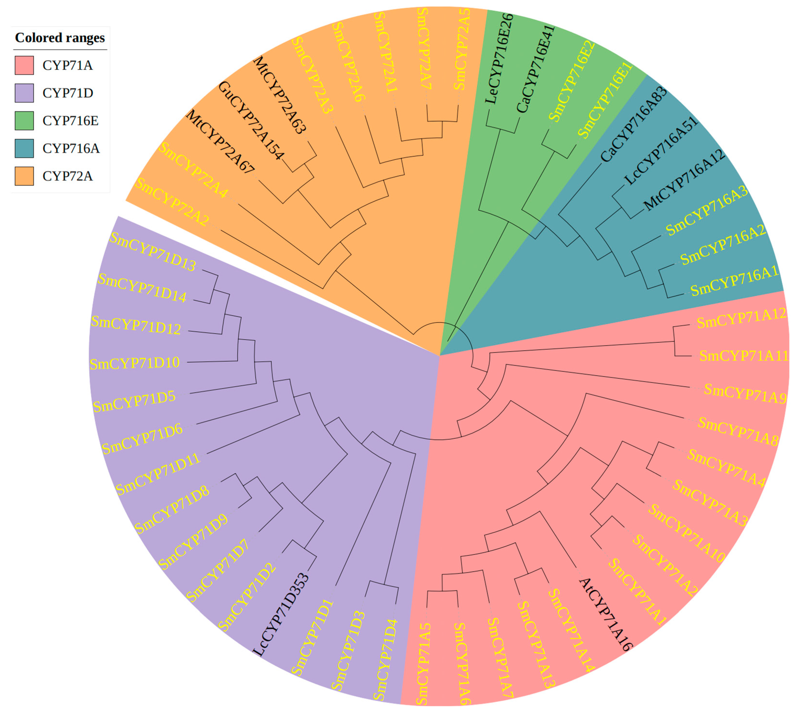 Forests 15 00926 g005