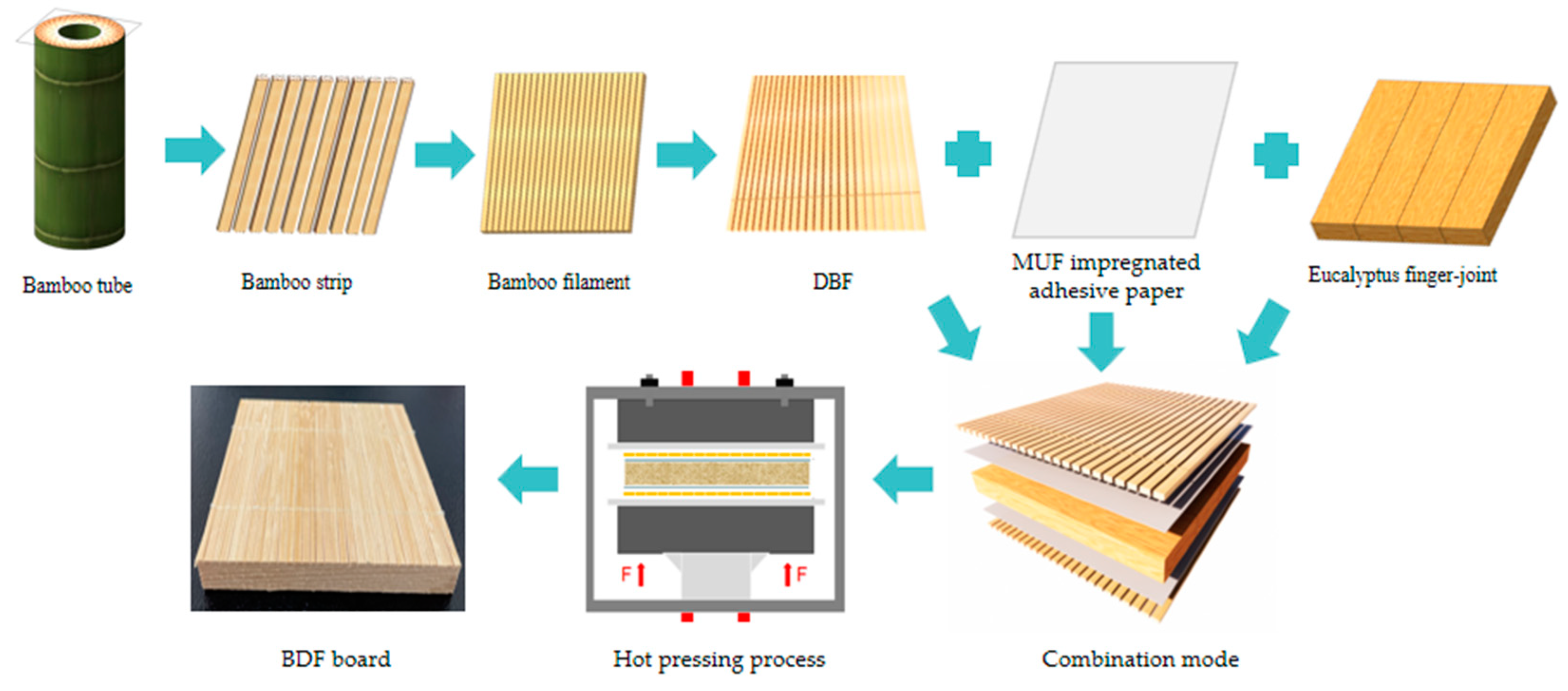 Forests 15 00932 g001