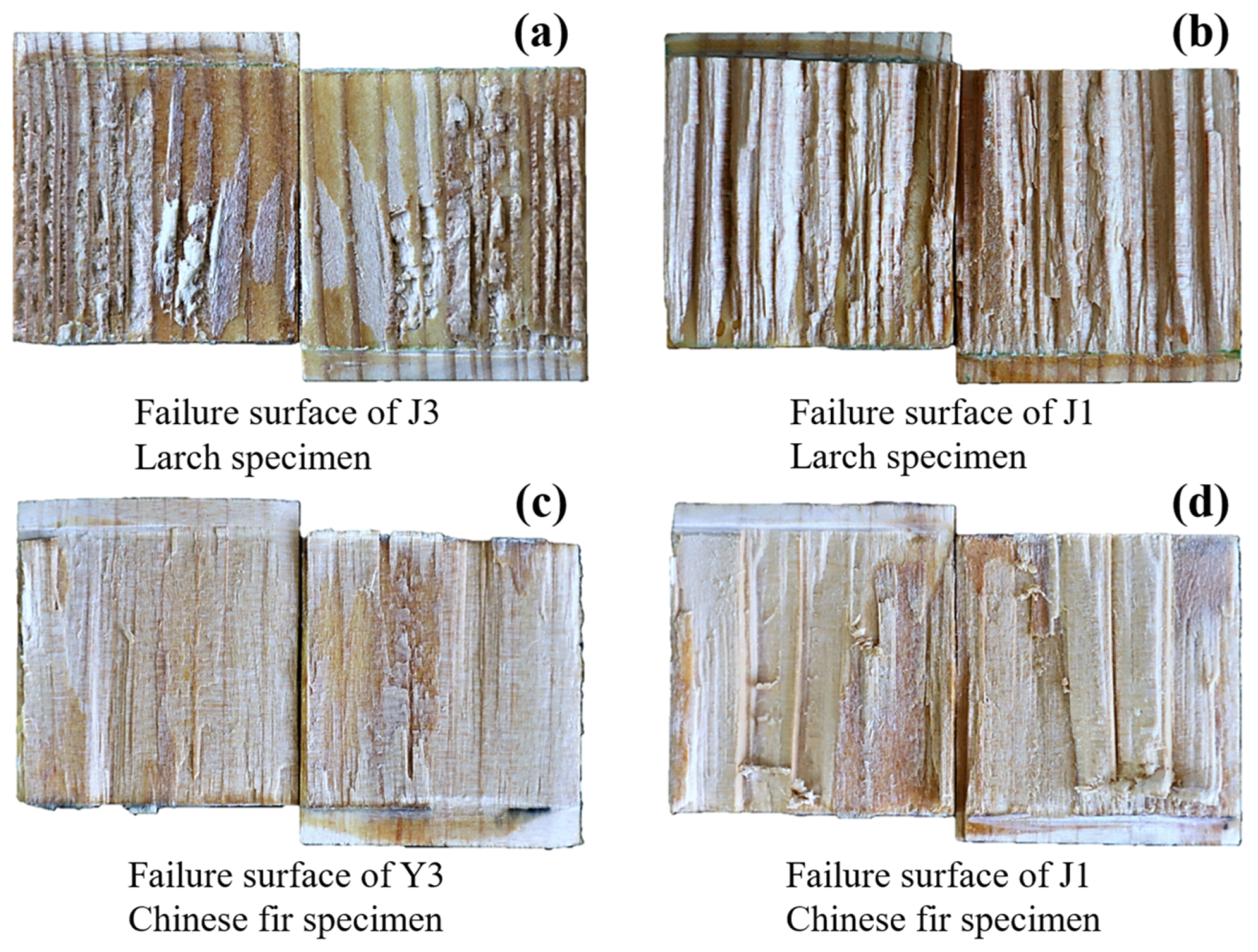 Forests 15 00933 g009