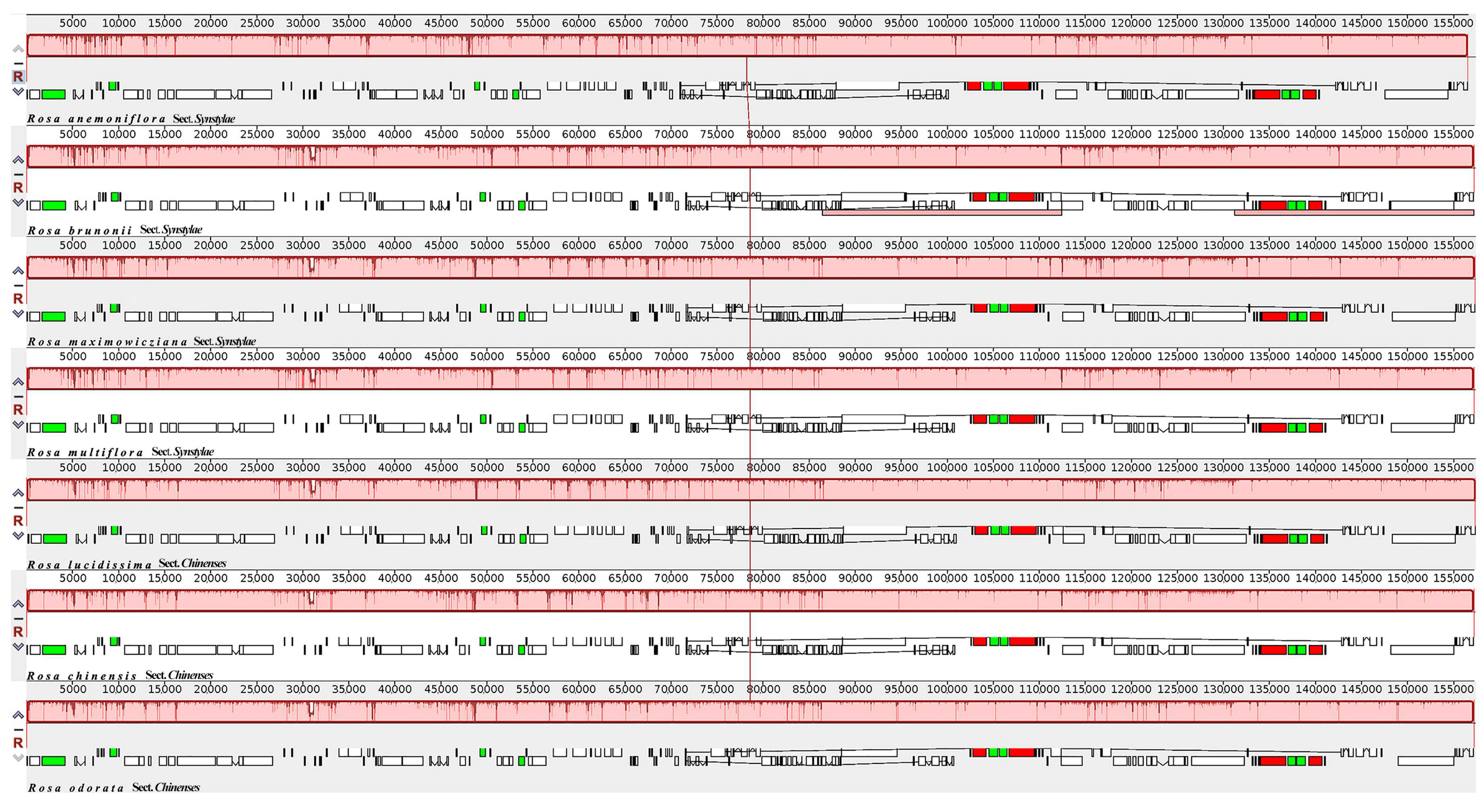 Forests 15 00940 g002