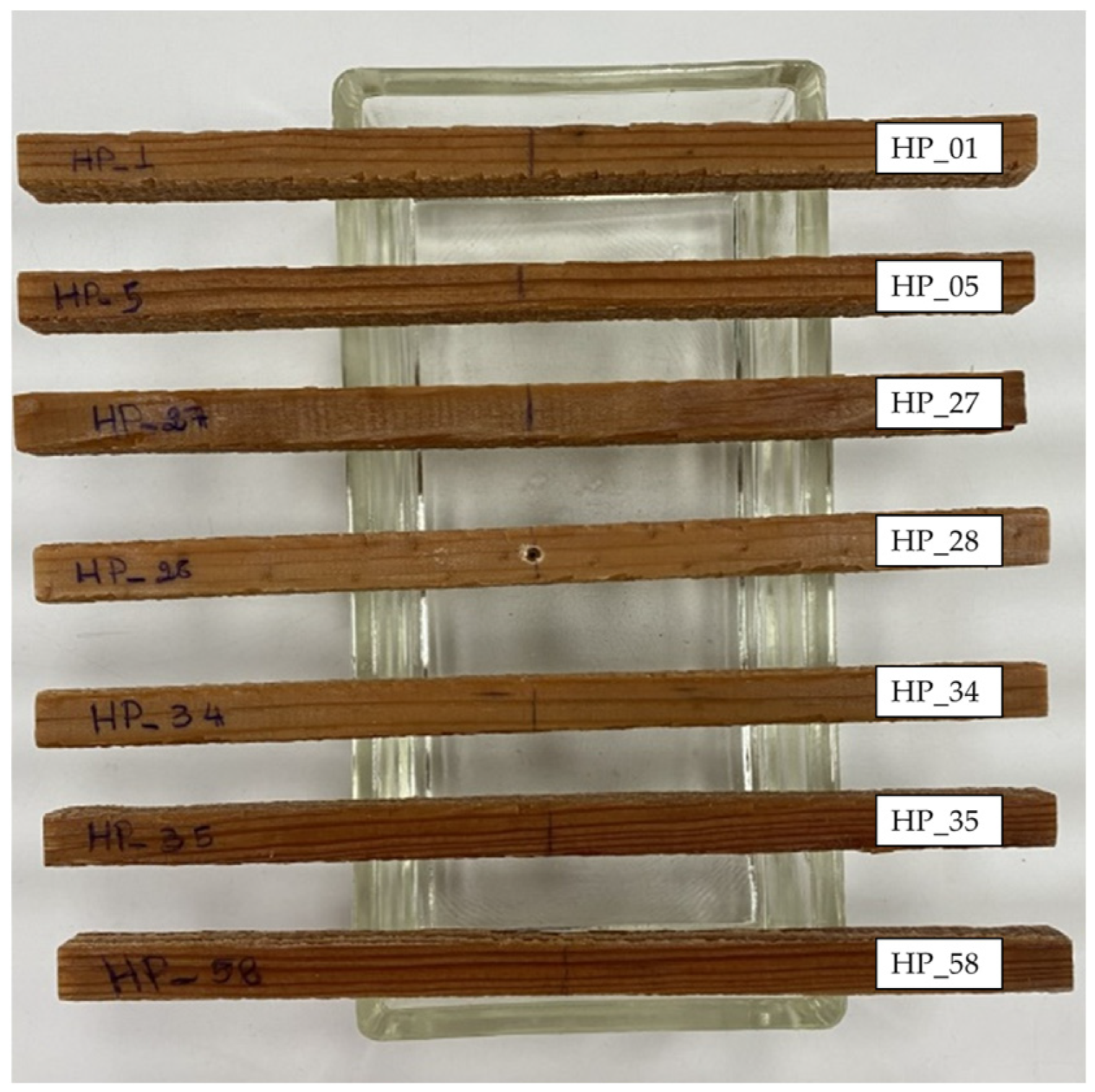 Forests 15 00944 g002