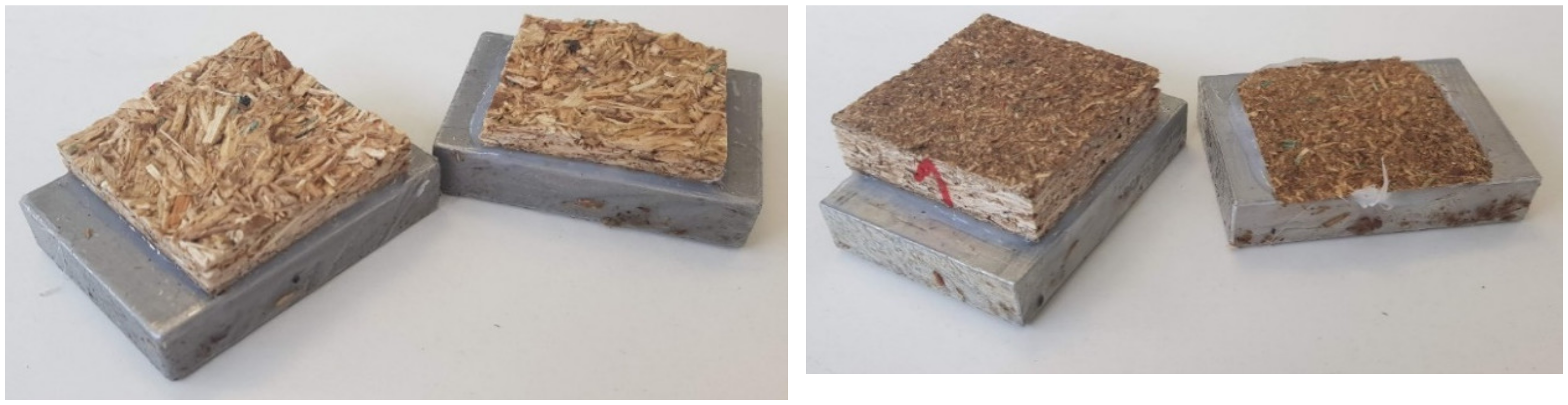 Forests 15 00948 g001