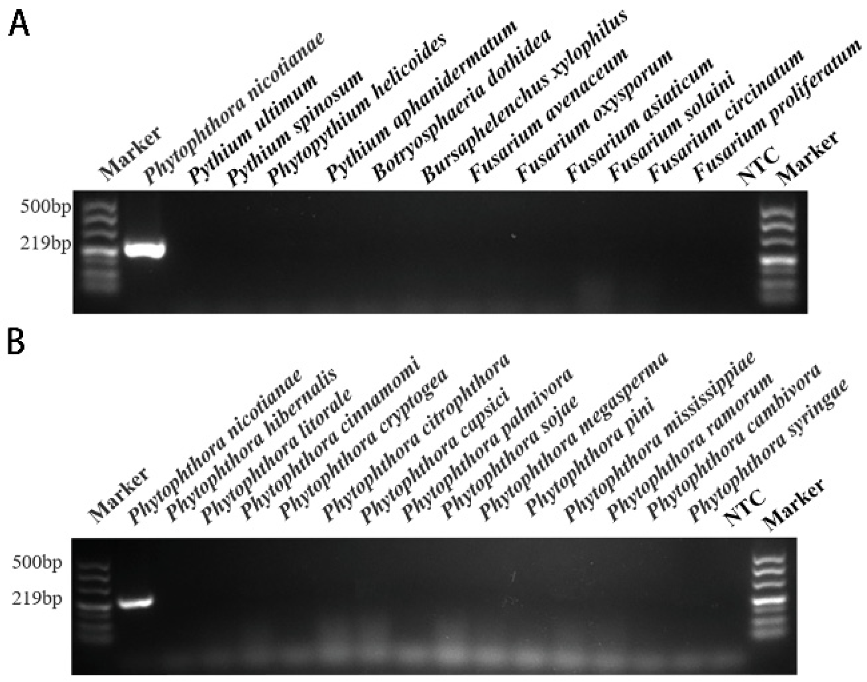Forests 15 00952 g003