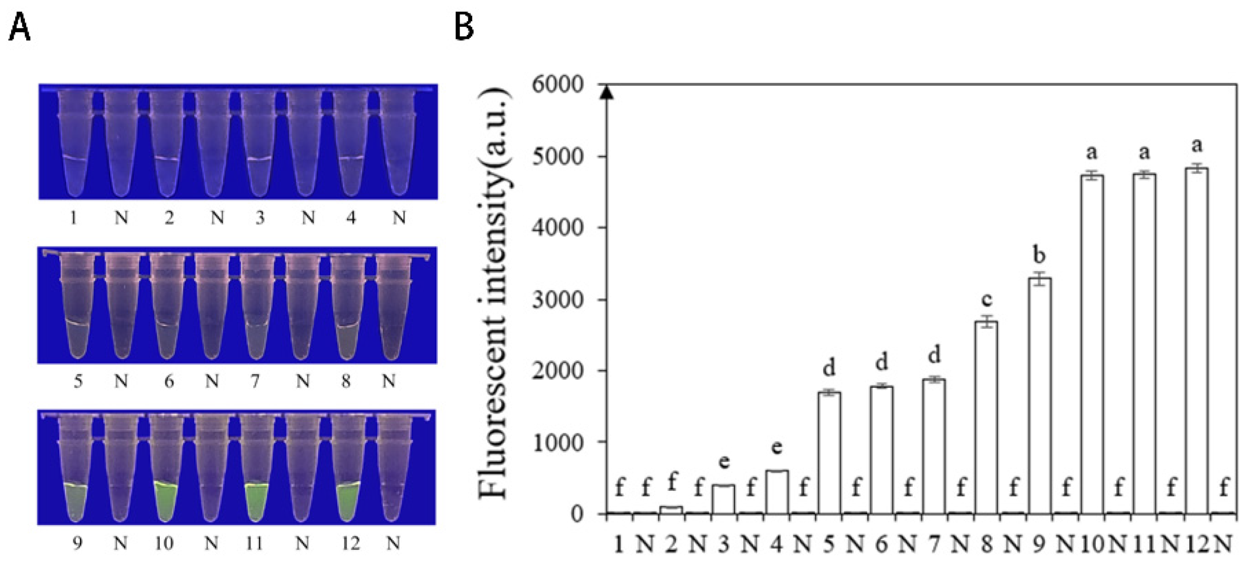 Forests 15 00952 g004