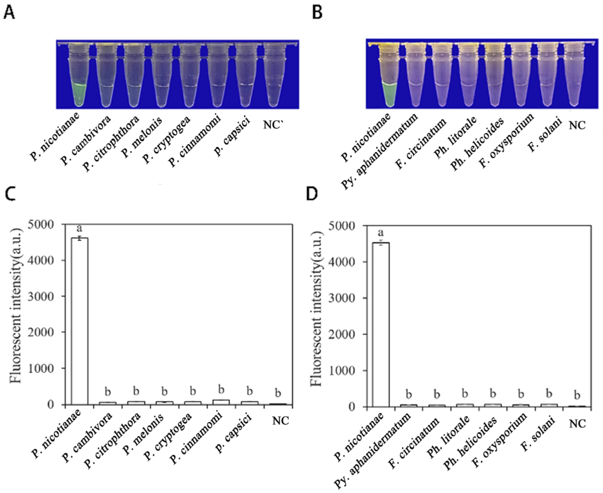 Forests 15 00952 g006