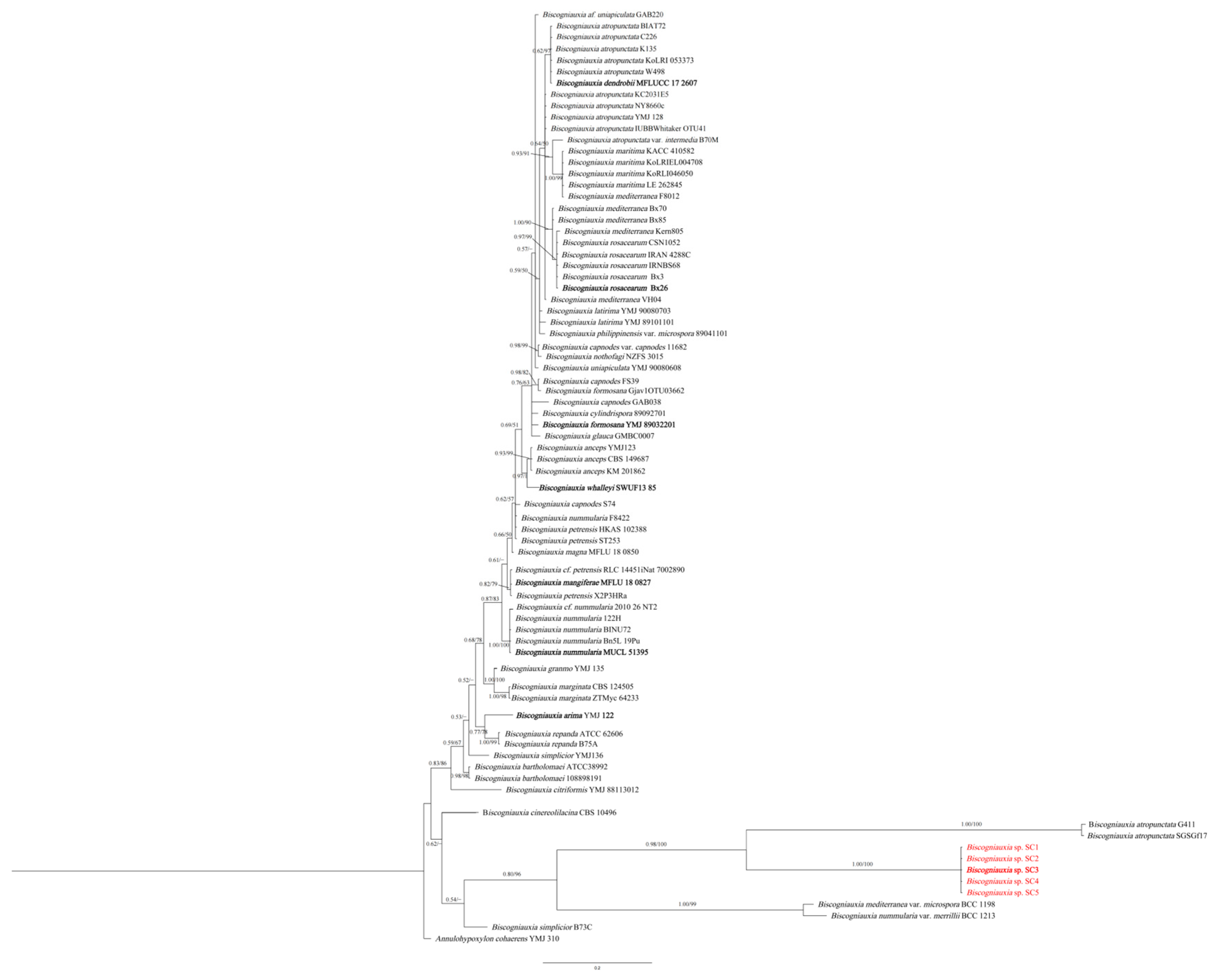 Forests 15 00956 g001 Forests 15 00956 g001