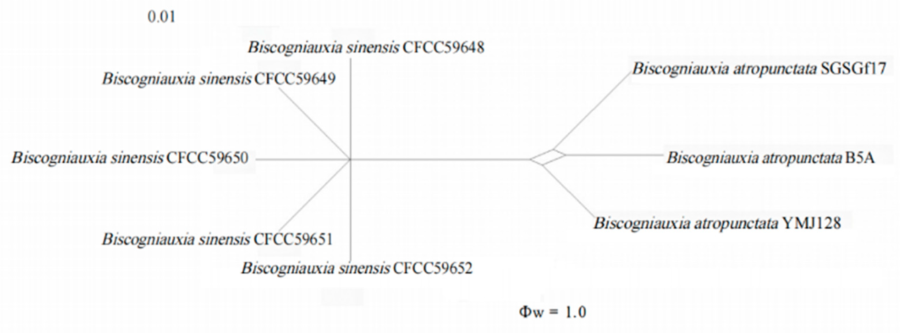 Forests 15 00956 g003 Forests 15 00956 g003