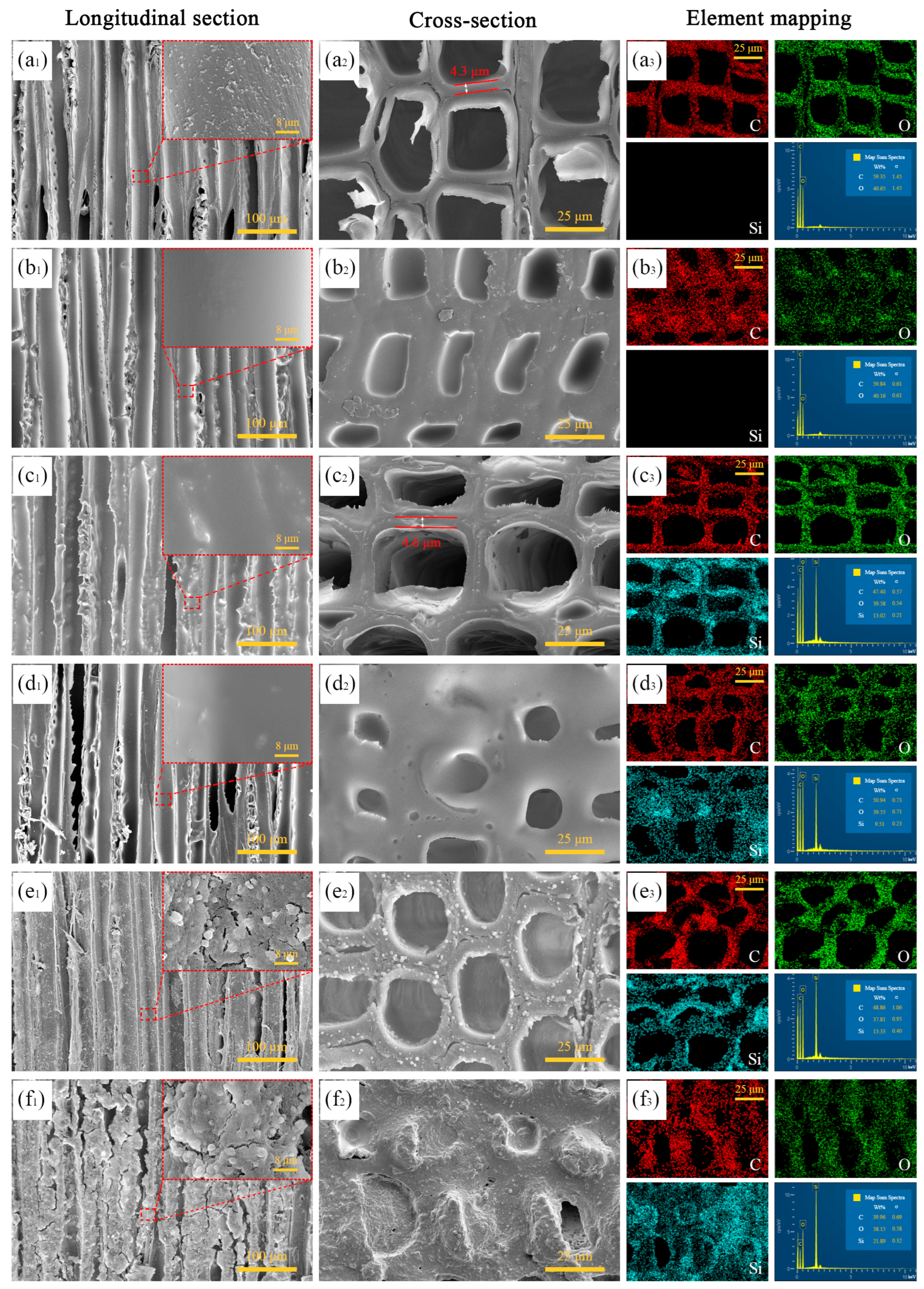Forests 15 00978 g003