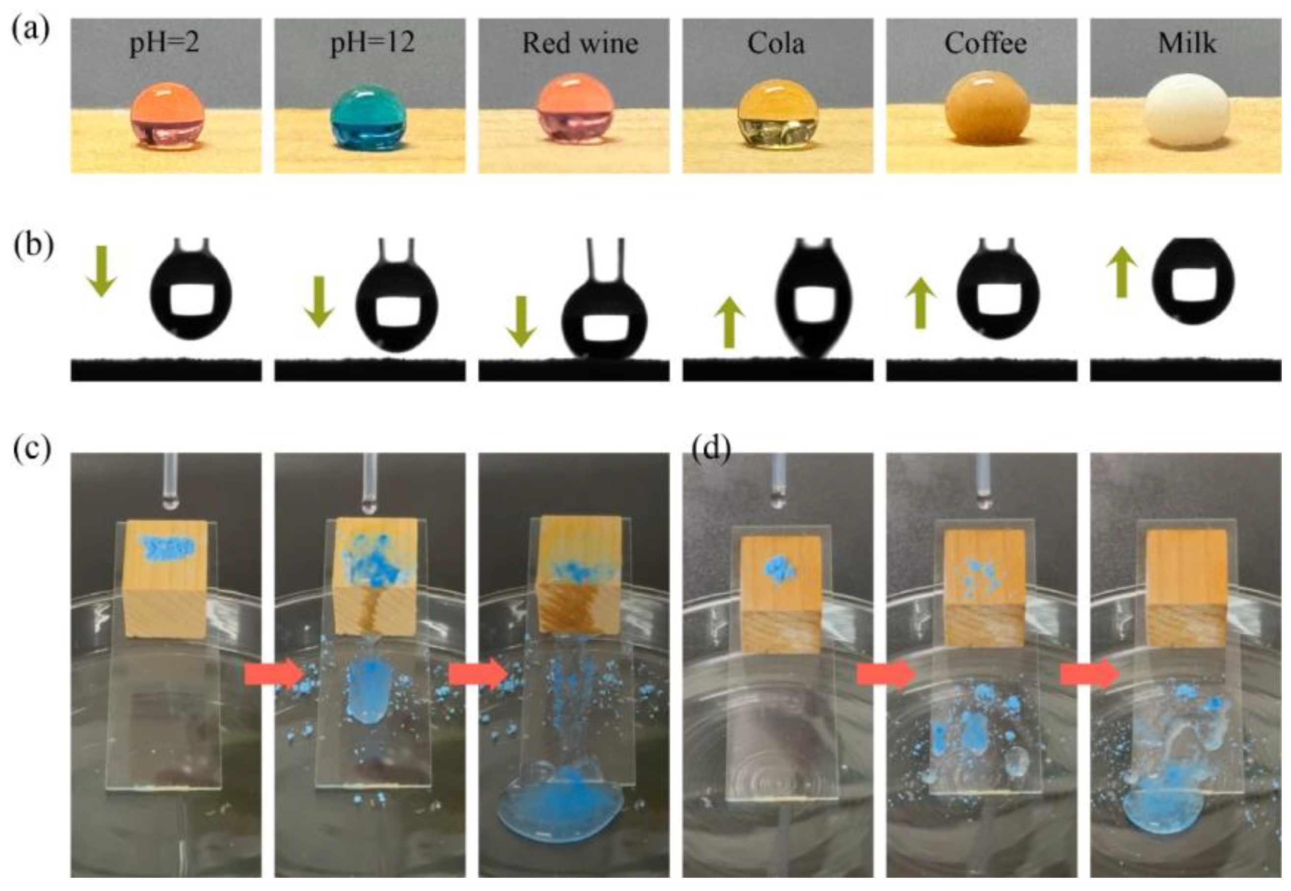Forests 15 00978 g012