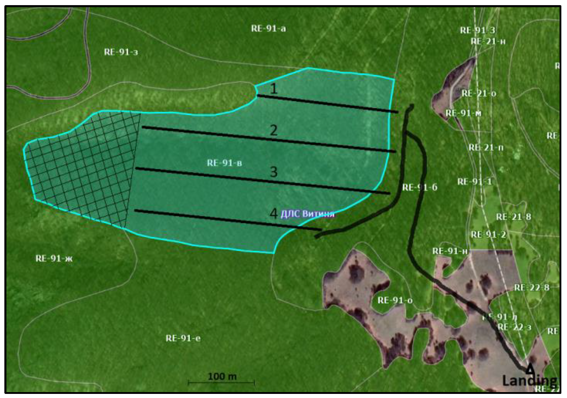Forests 15 00980 g001 Forests 15 00980 g001