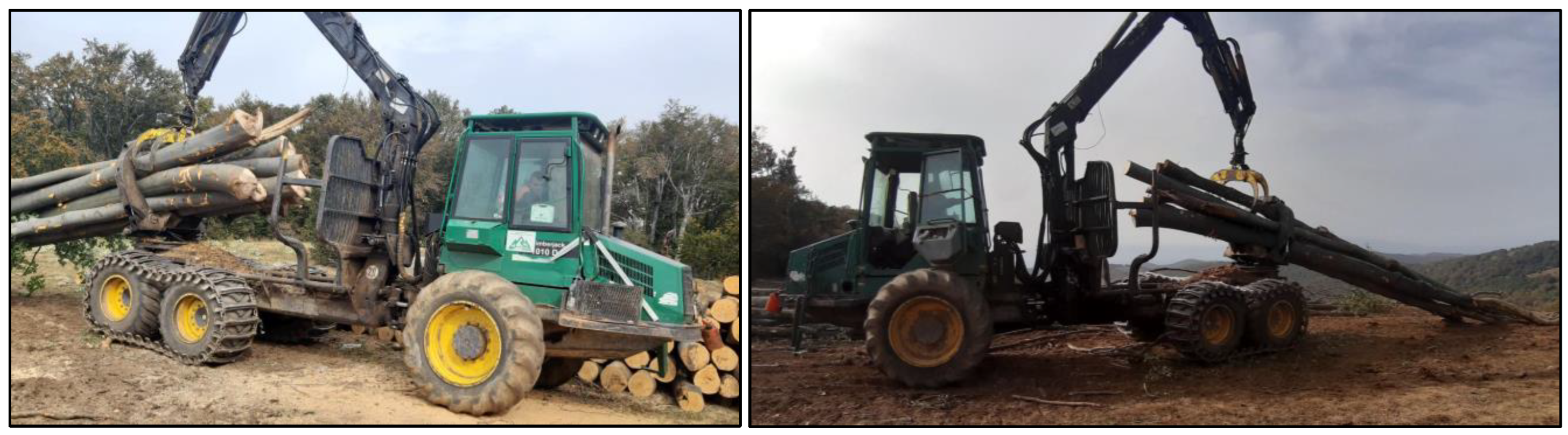 Forests 15 00980 g003 Forests 15 00980 g003
