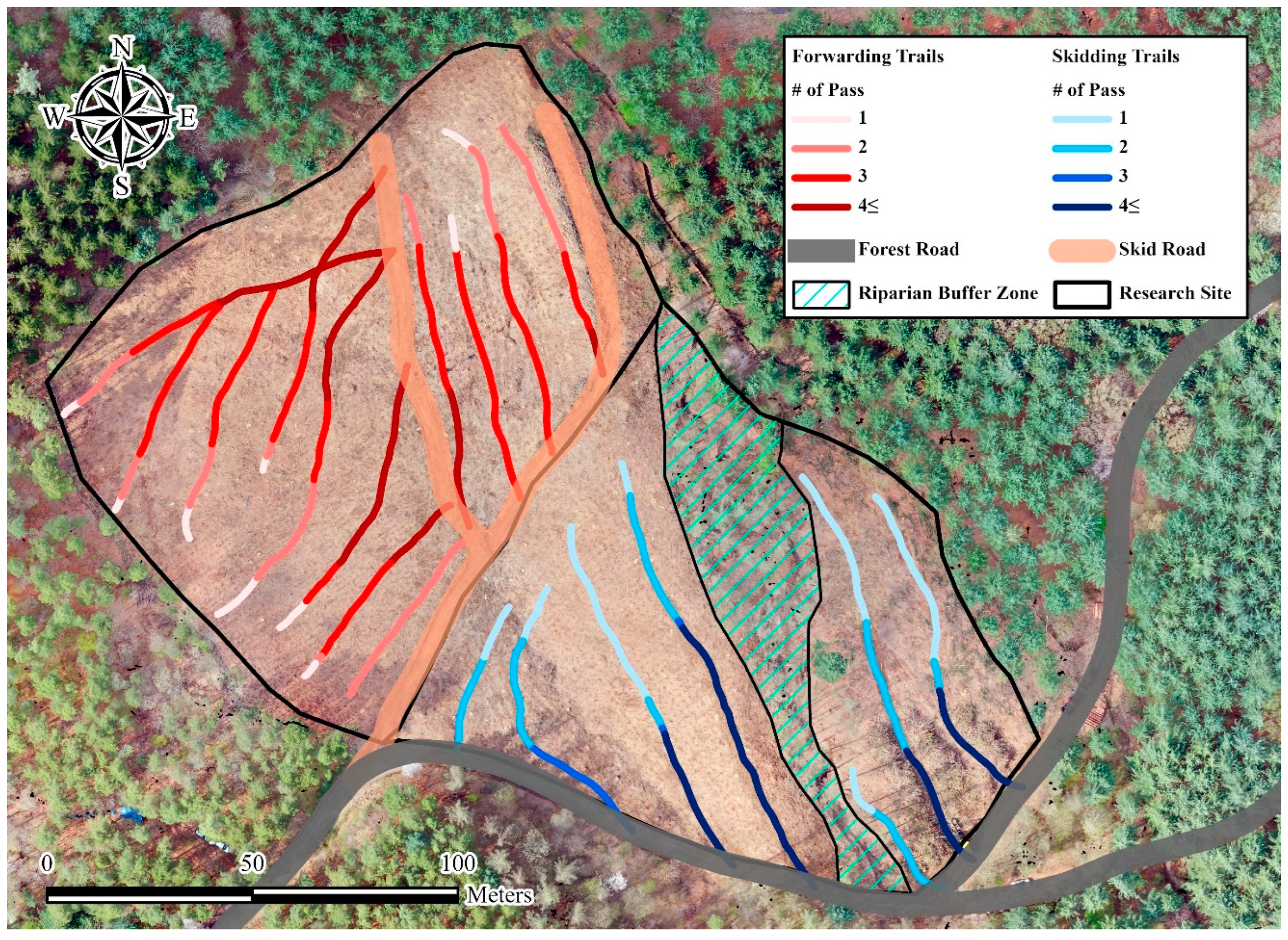 Forests 15 00985 g001