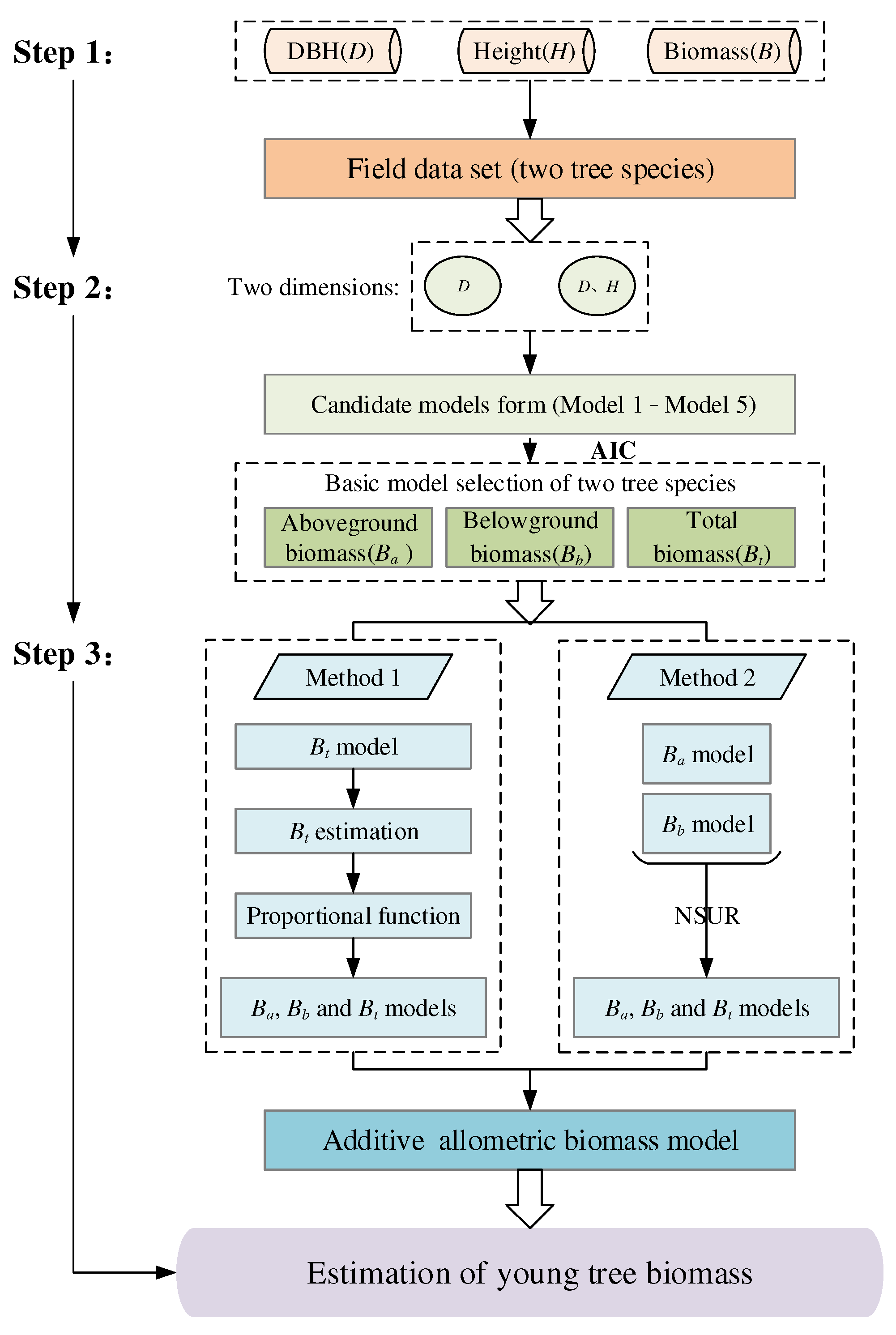 Forests 15 00991 g001