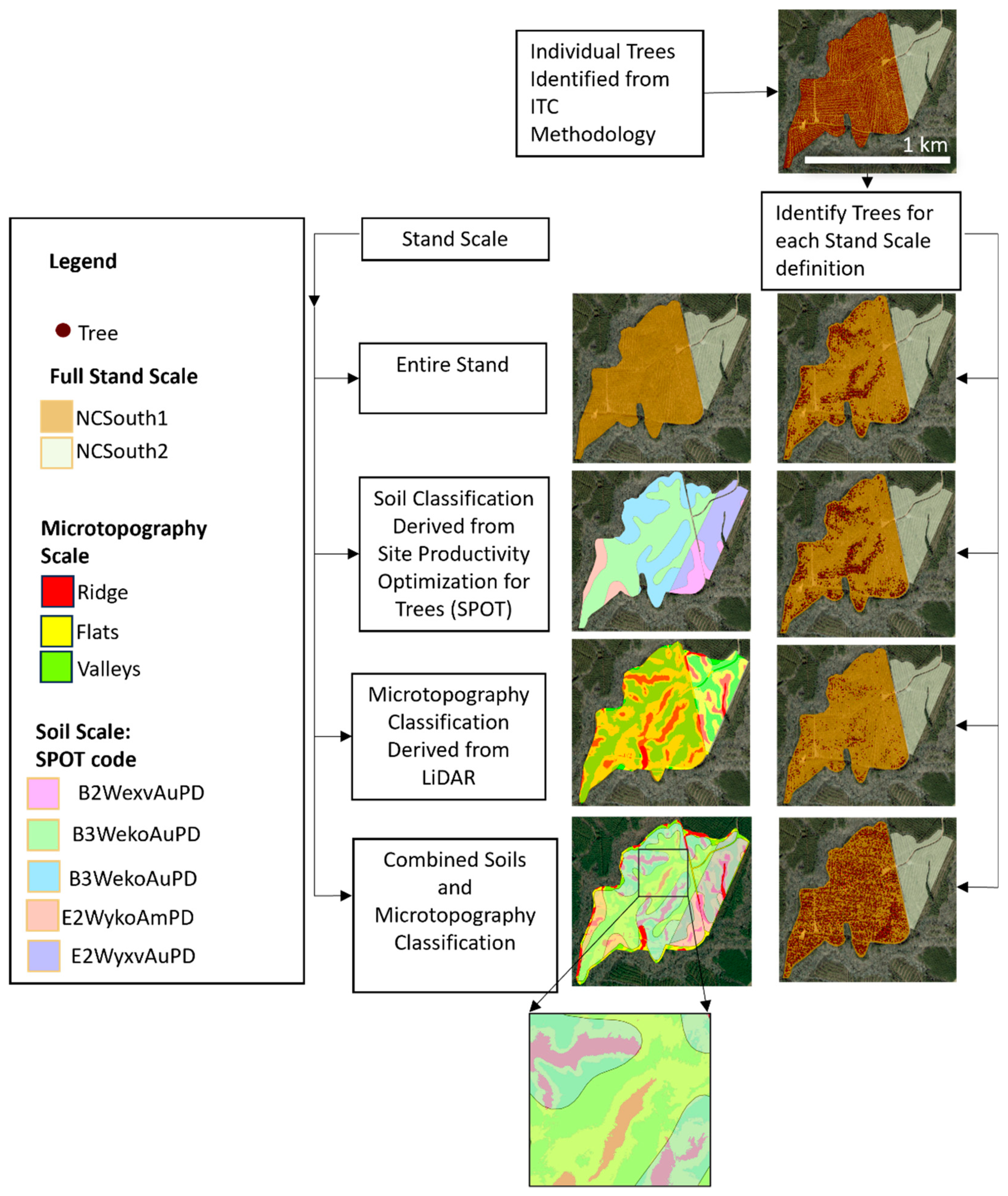 Forests 15 01002 g002