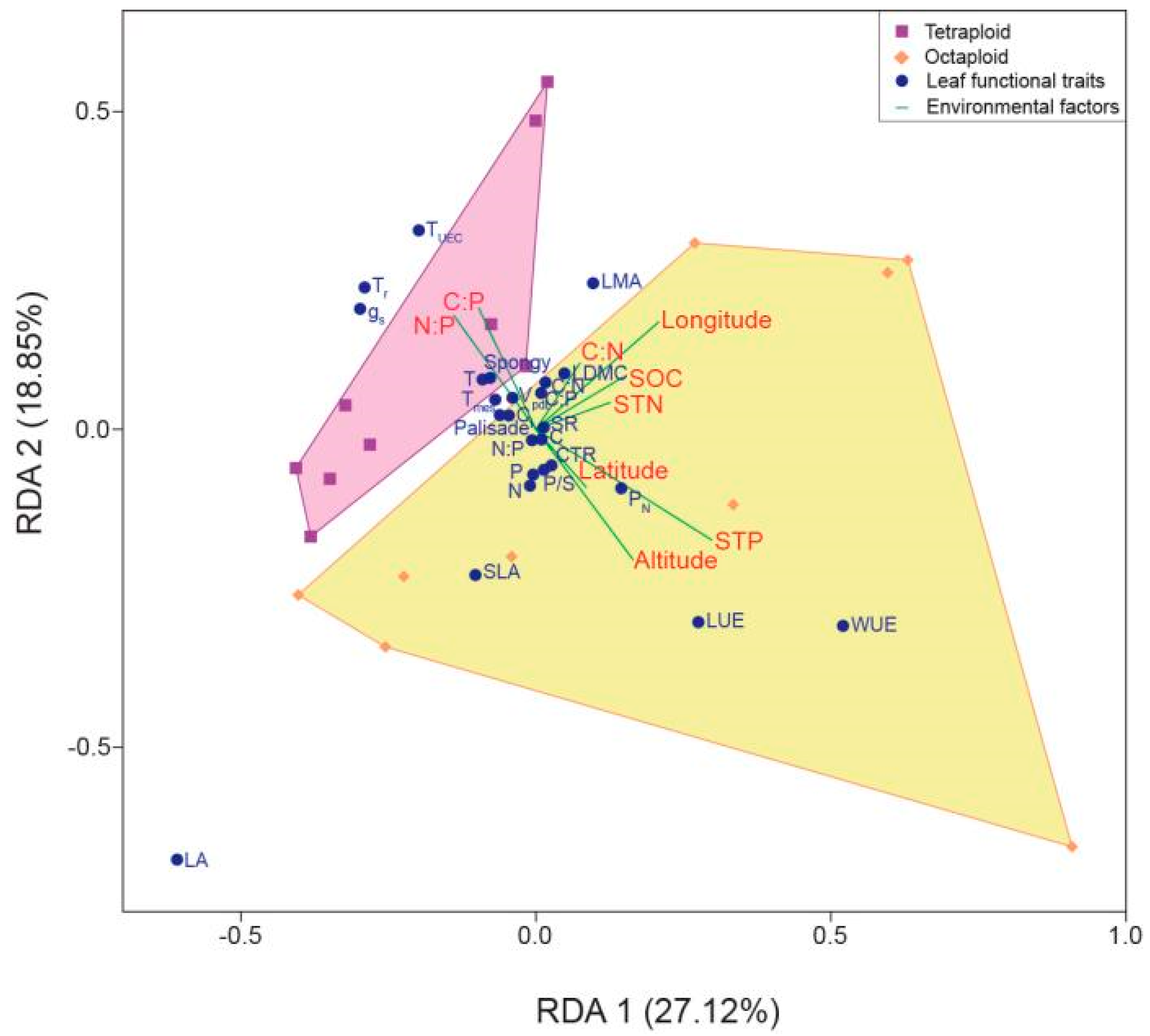 Forests 15 01007 g004