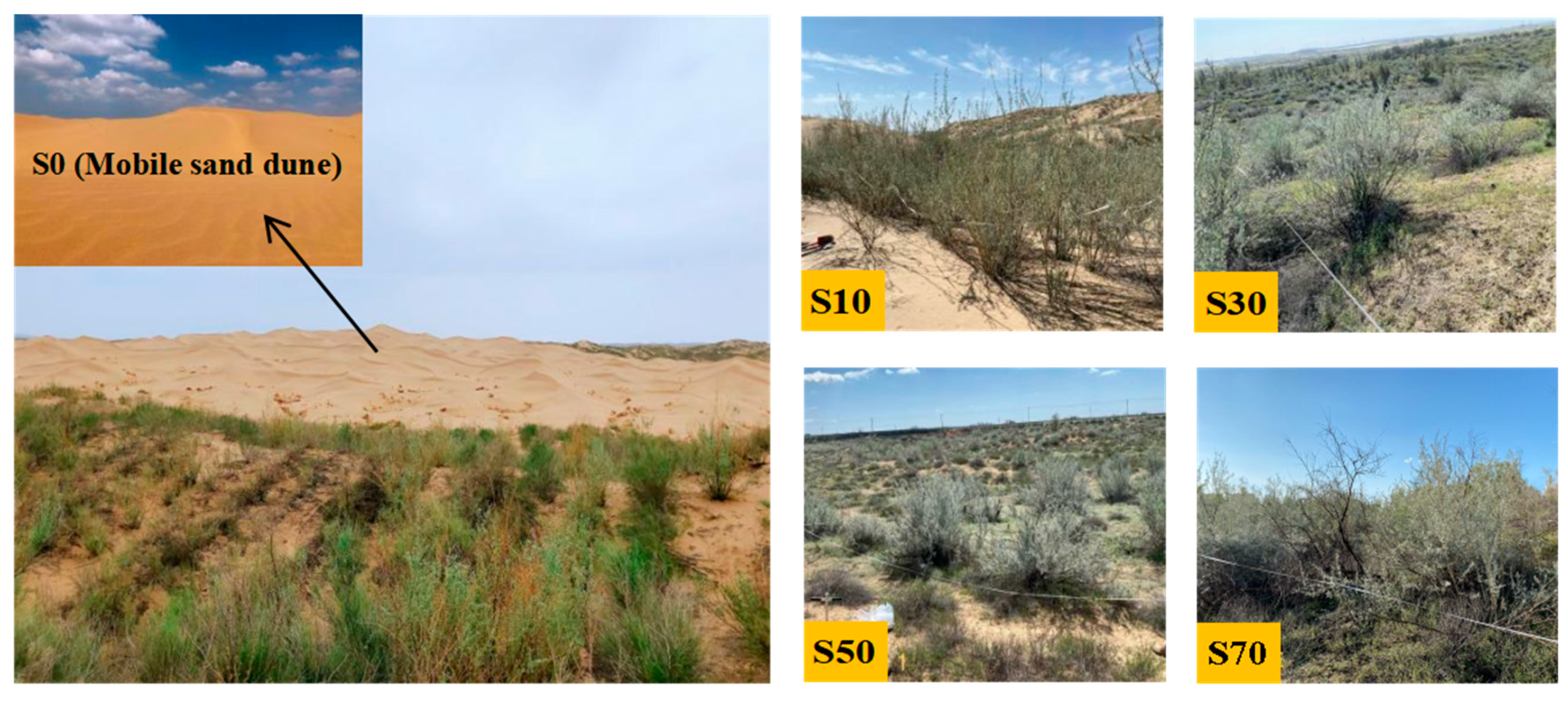 Forests 15 01018 g002