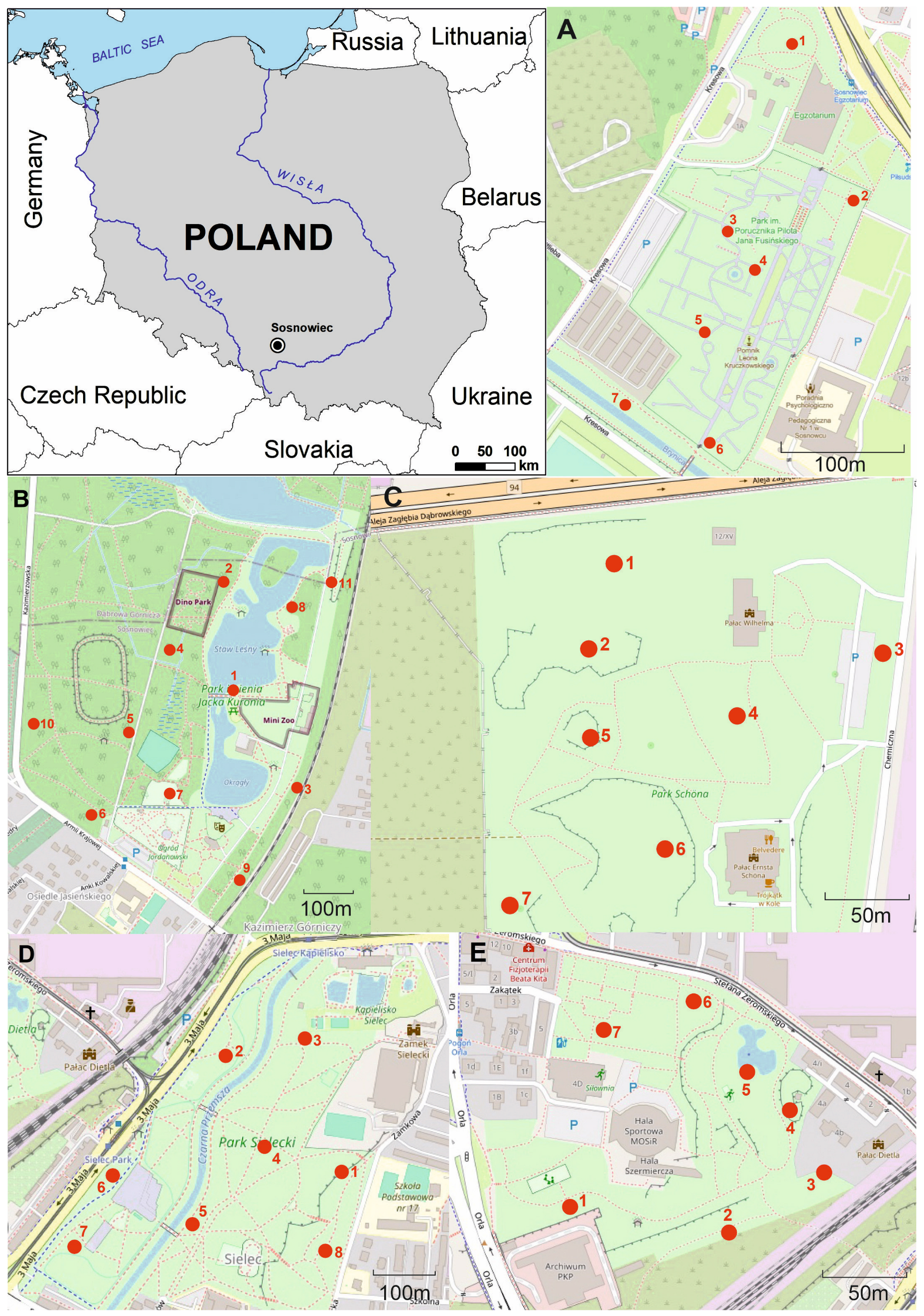 Forests 15 01020 g001
