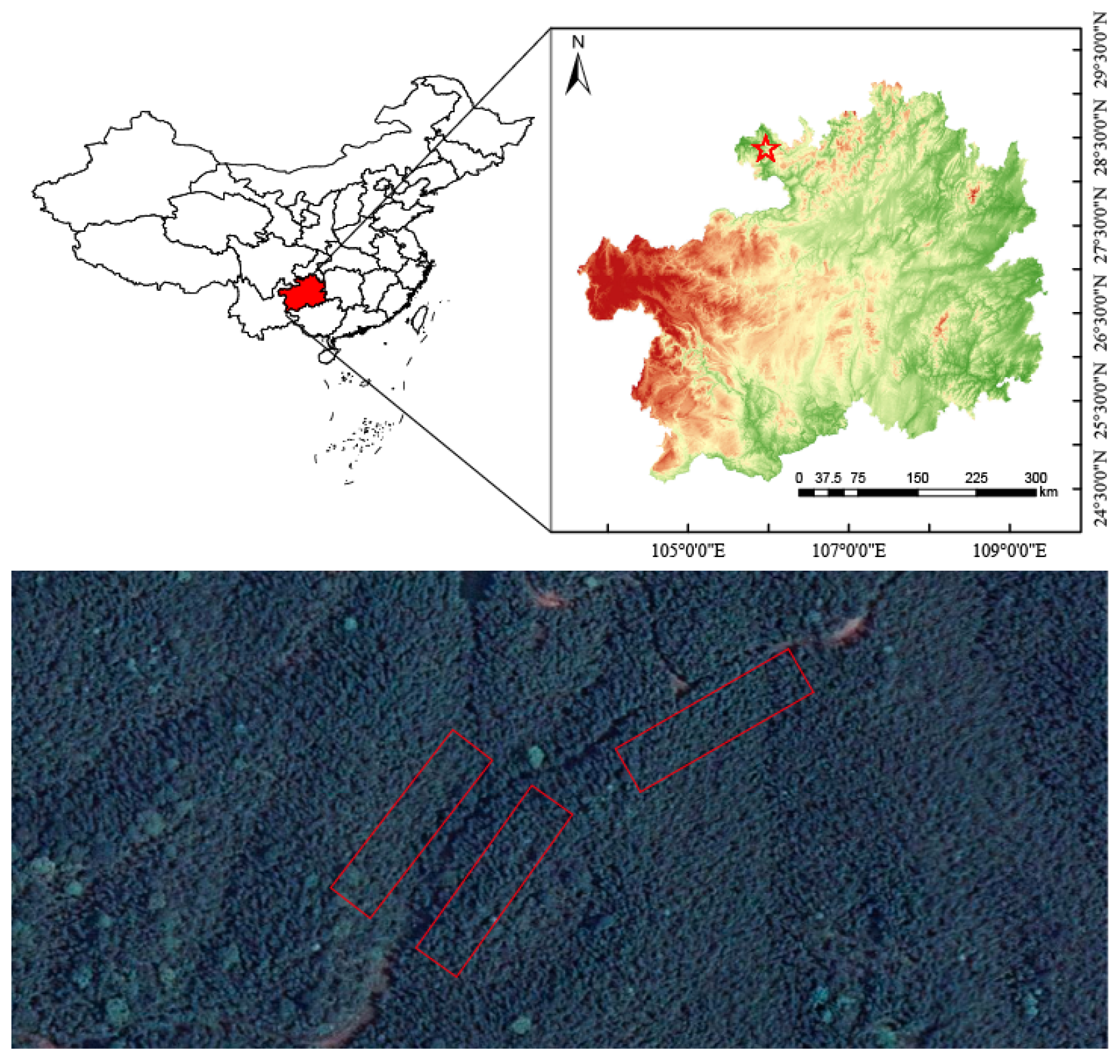 Forests 15 01040 g001