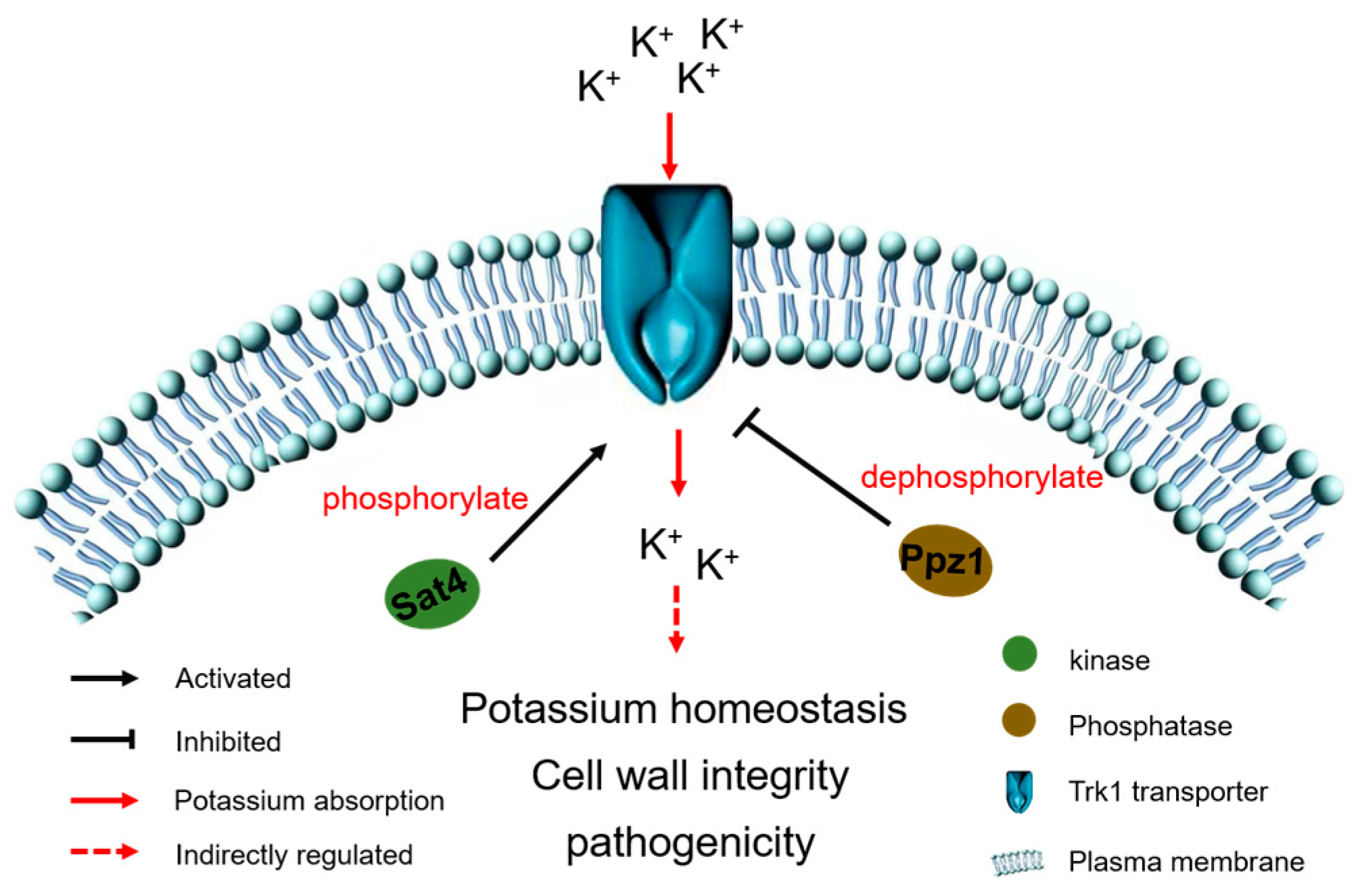 Forests 15 01044 g006 Forests 15 01044 g006