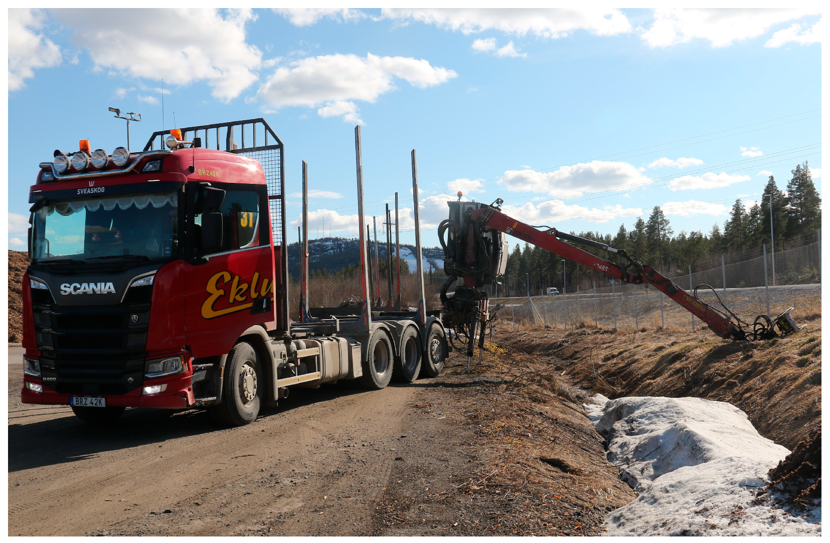 Forests 15 01046 g006 Forests 15 01046 g006