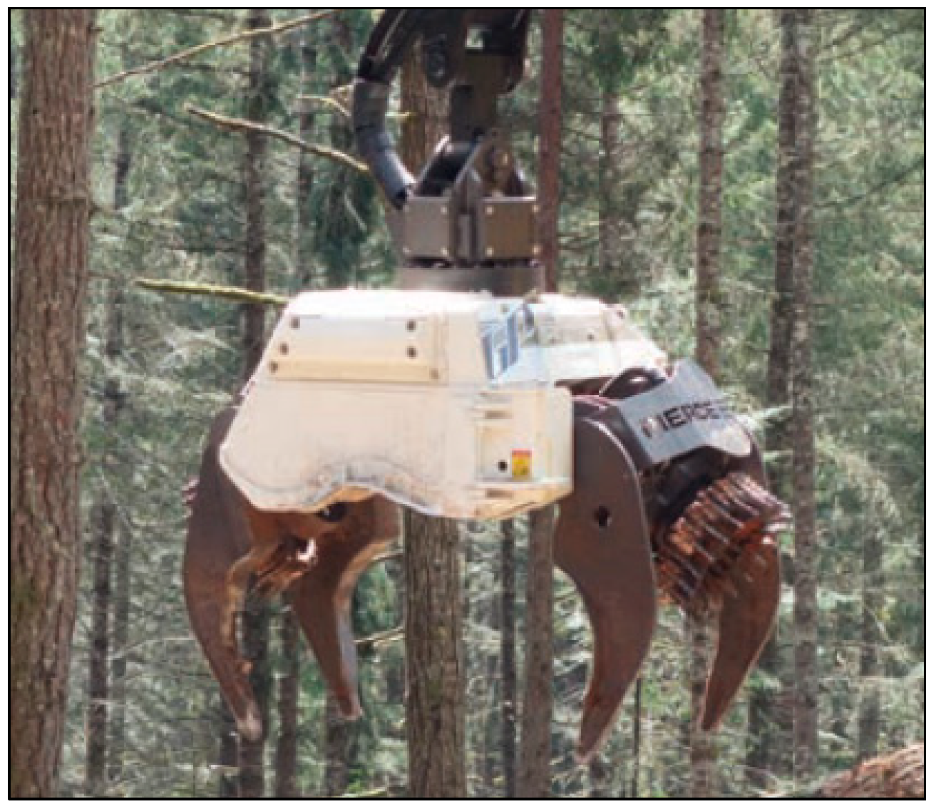 Forests 15 01046 g007 Forests 15 01046 g007