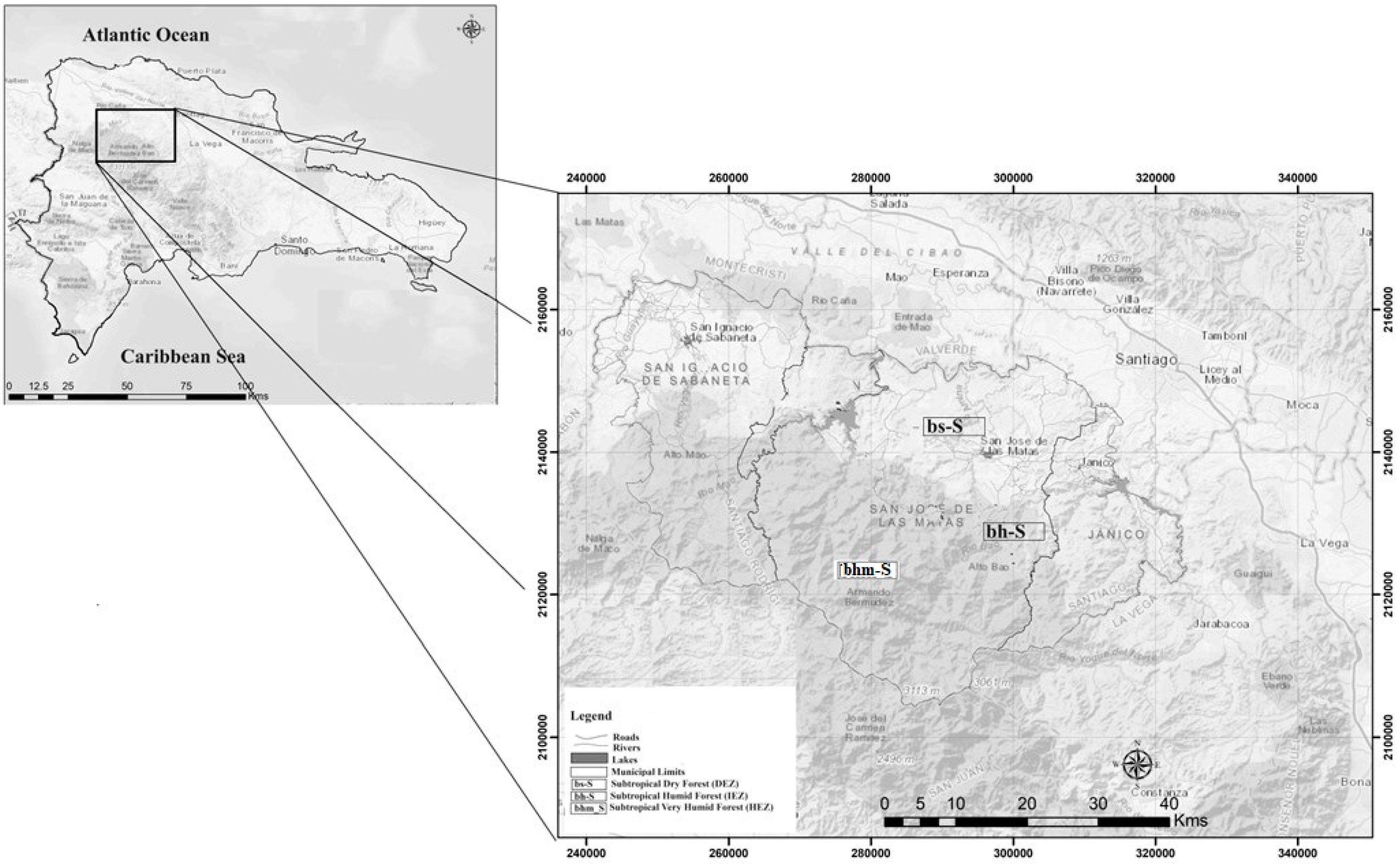 Forests 15 01052 g001