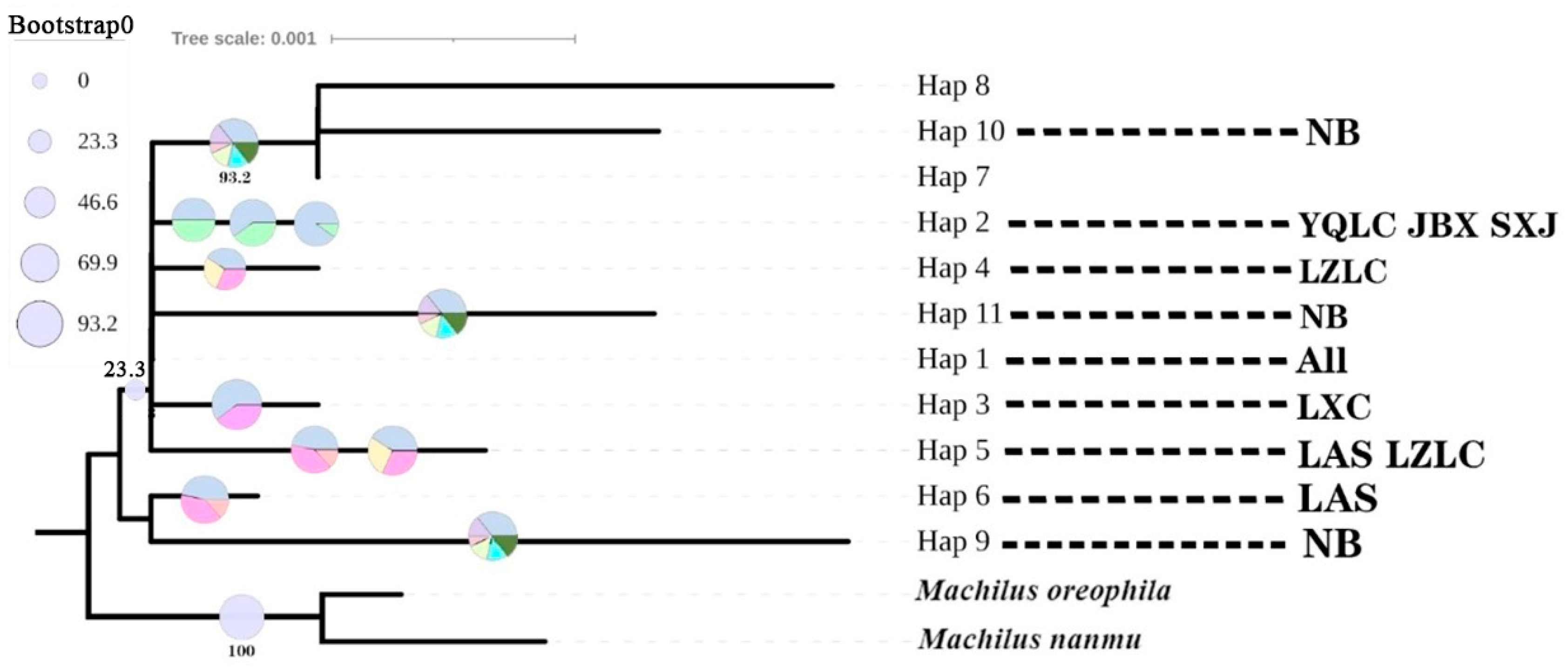 Forests 15 01073 g003