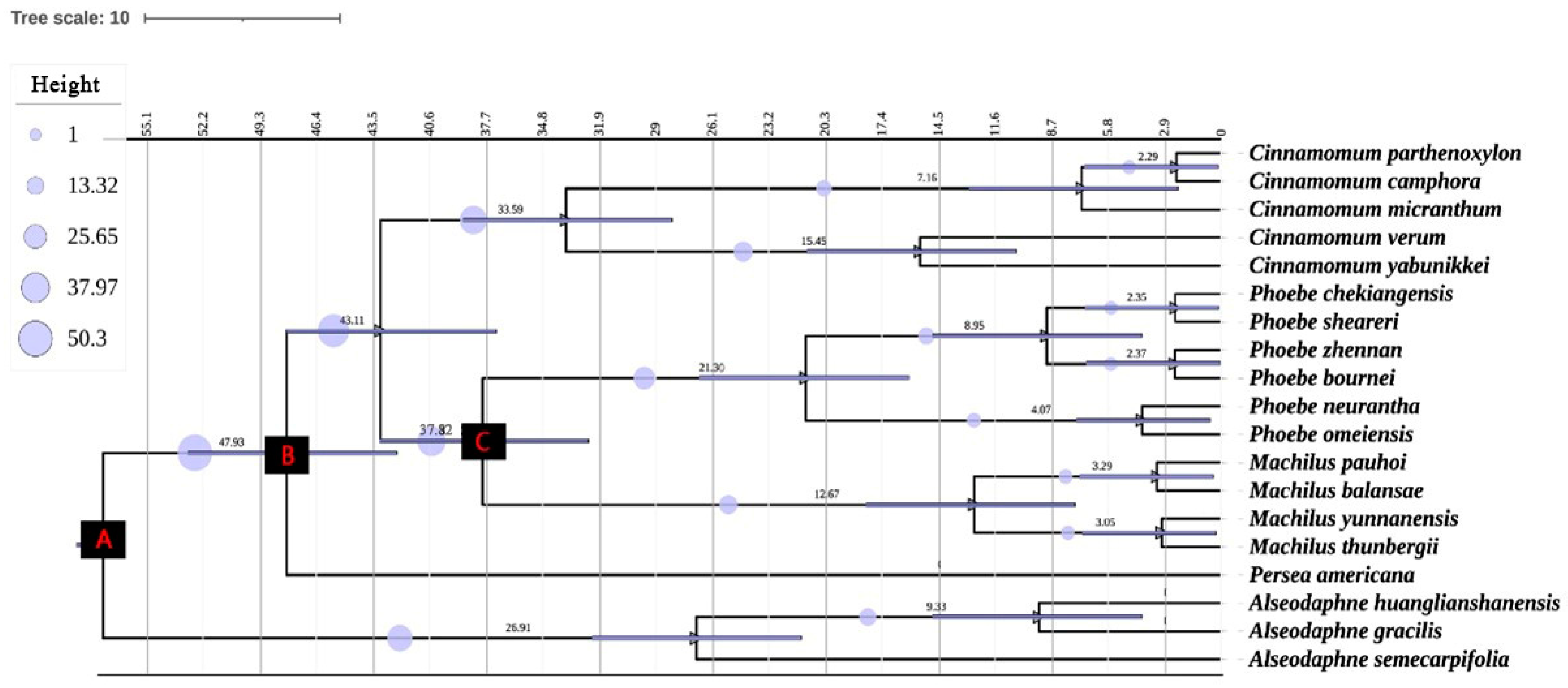 Forests 15 01073 g005