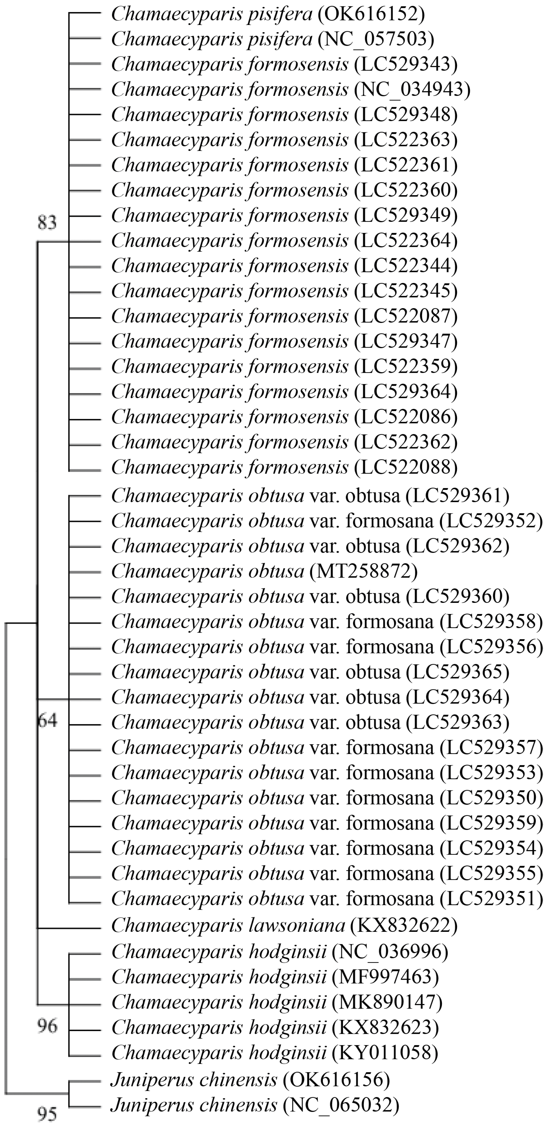 Forests 15 01106 g002 Forests 15 01106 g002