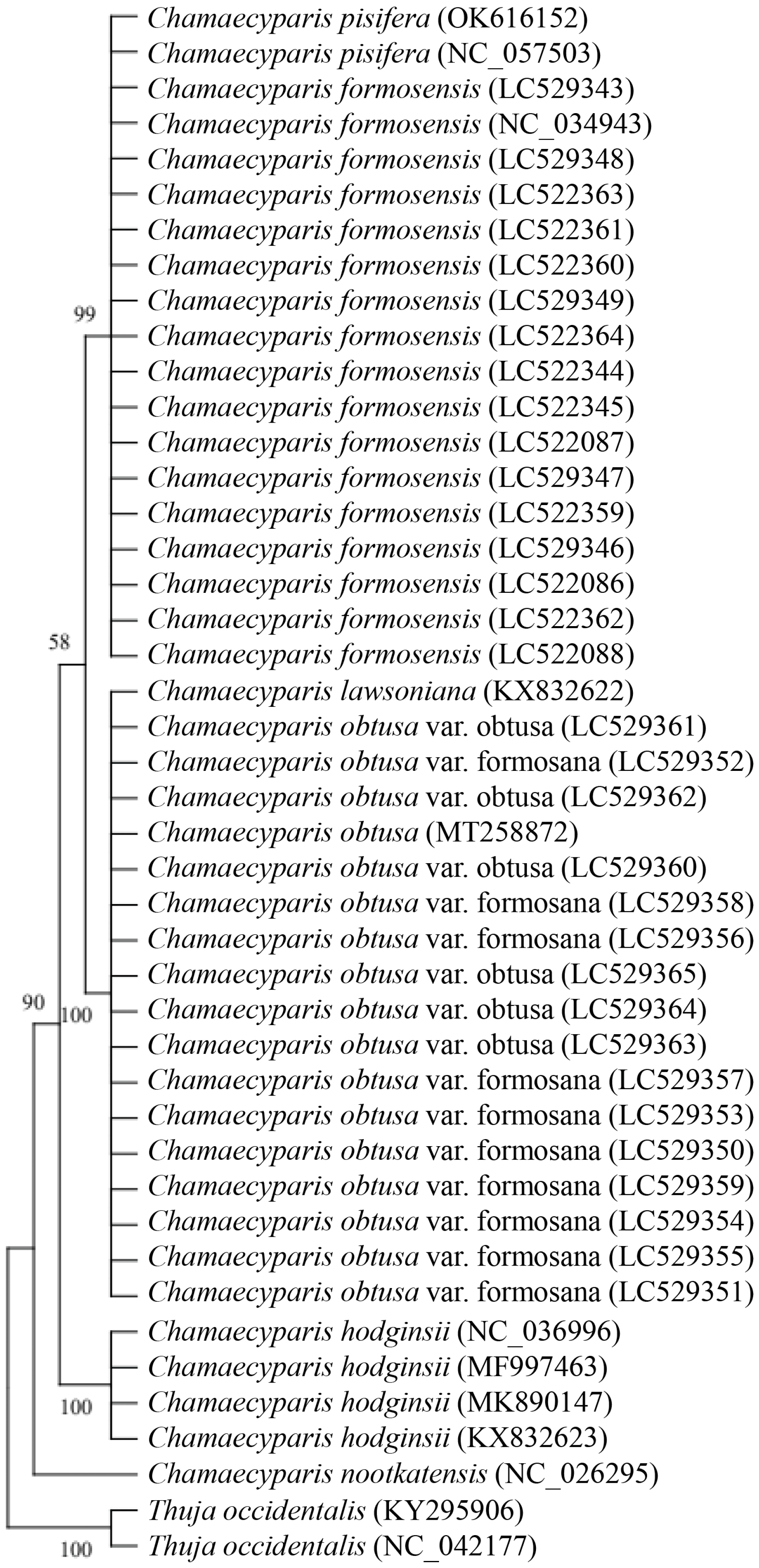 Forests 15 01106 g004 Forests 15 01106 g004