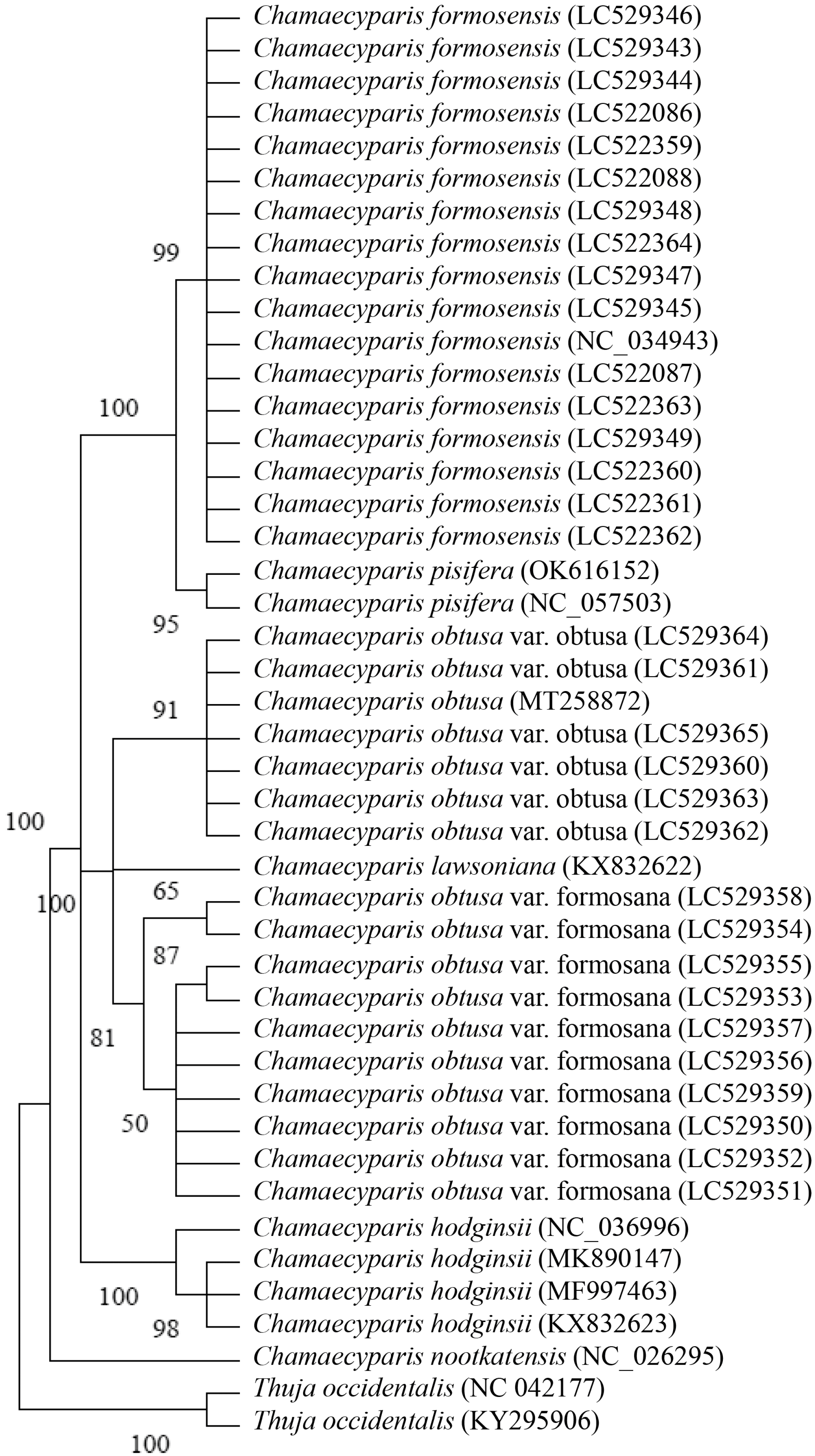 Forests 15 01106 g005 Forests 15 01106 g005