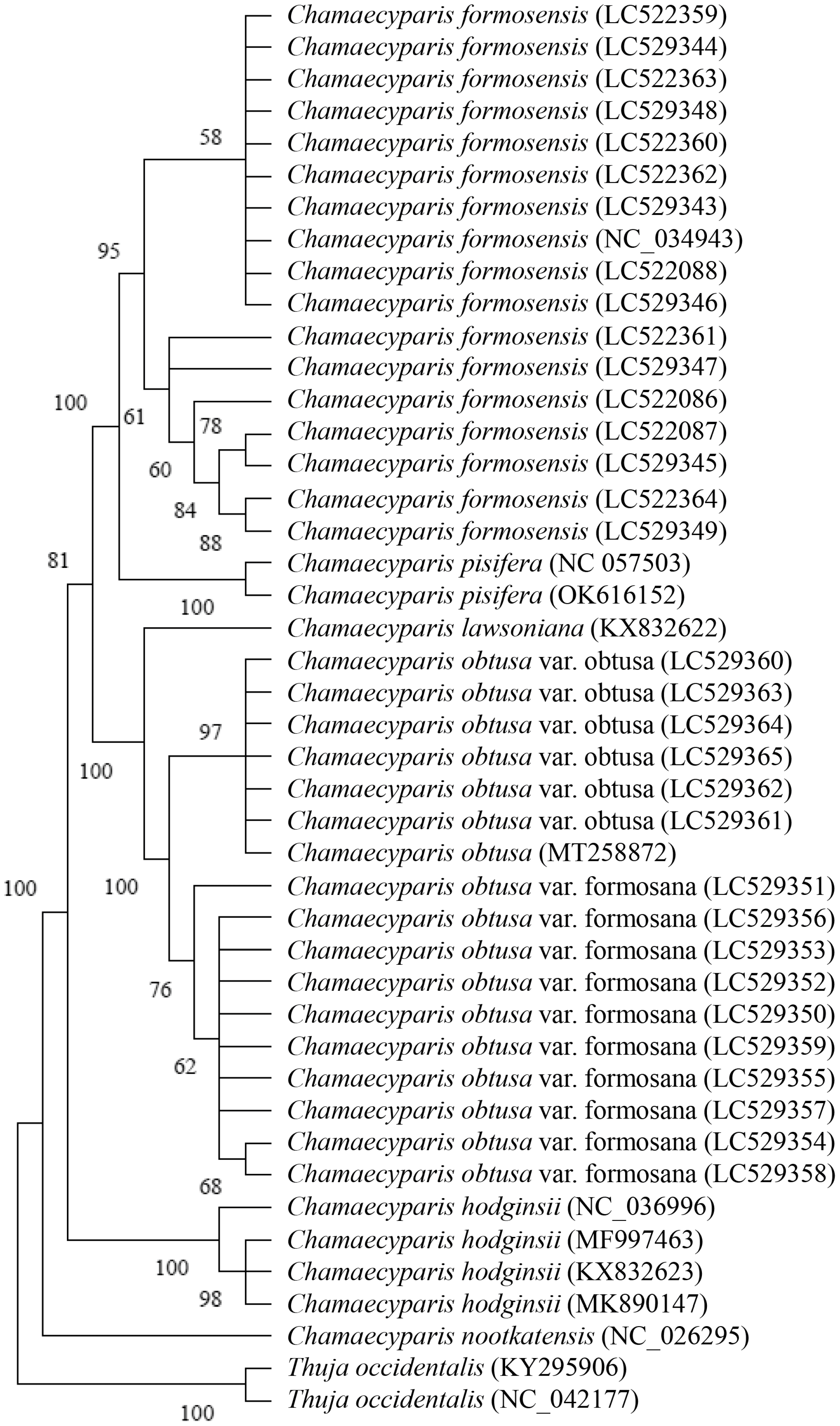 Forests 15 01106 g006 Forests 15 01106 g006