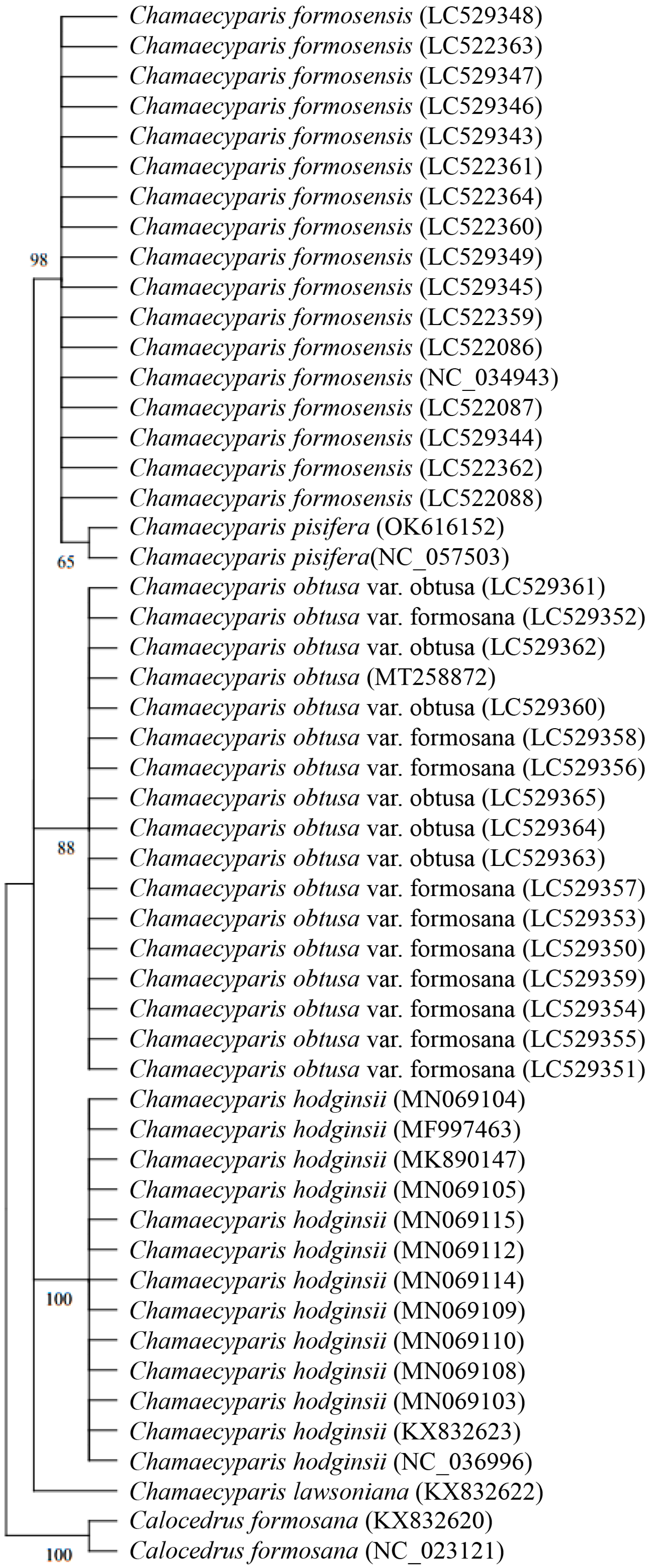 Forests 15 01106 g007 Forests 15 01106 g007