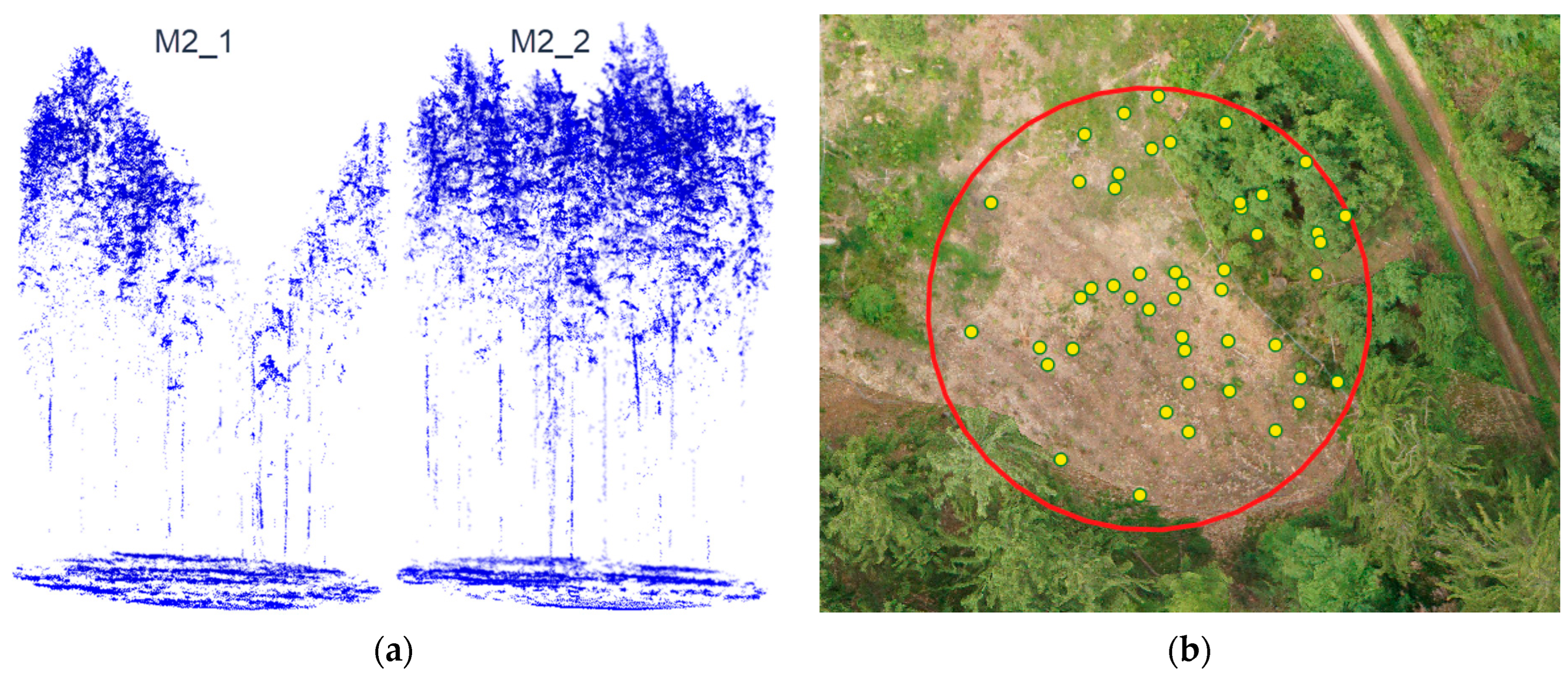 Forests 15 01111 g002