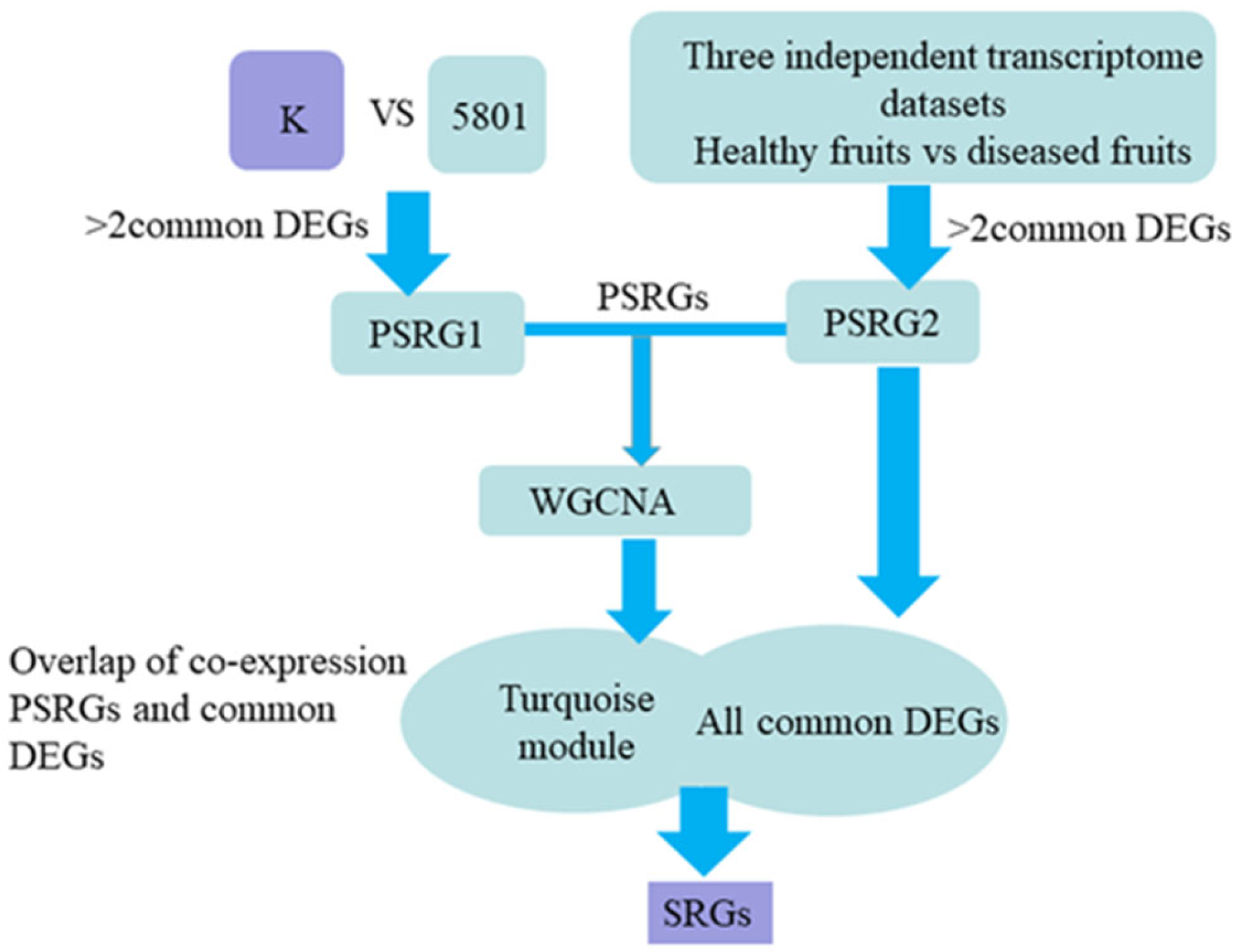 Forests 15 01126 g001 Forests 15 01126 g001