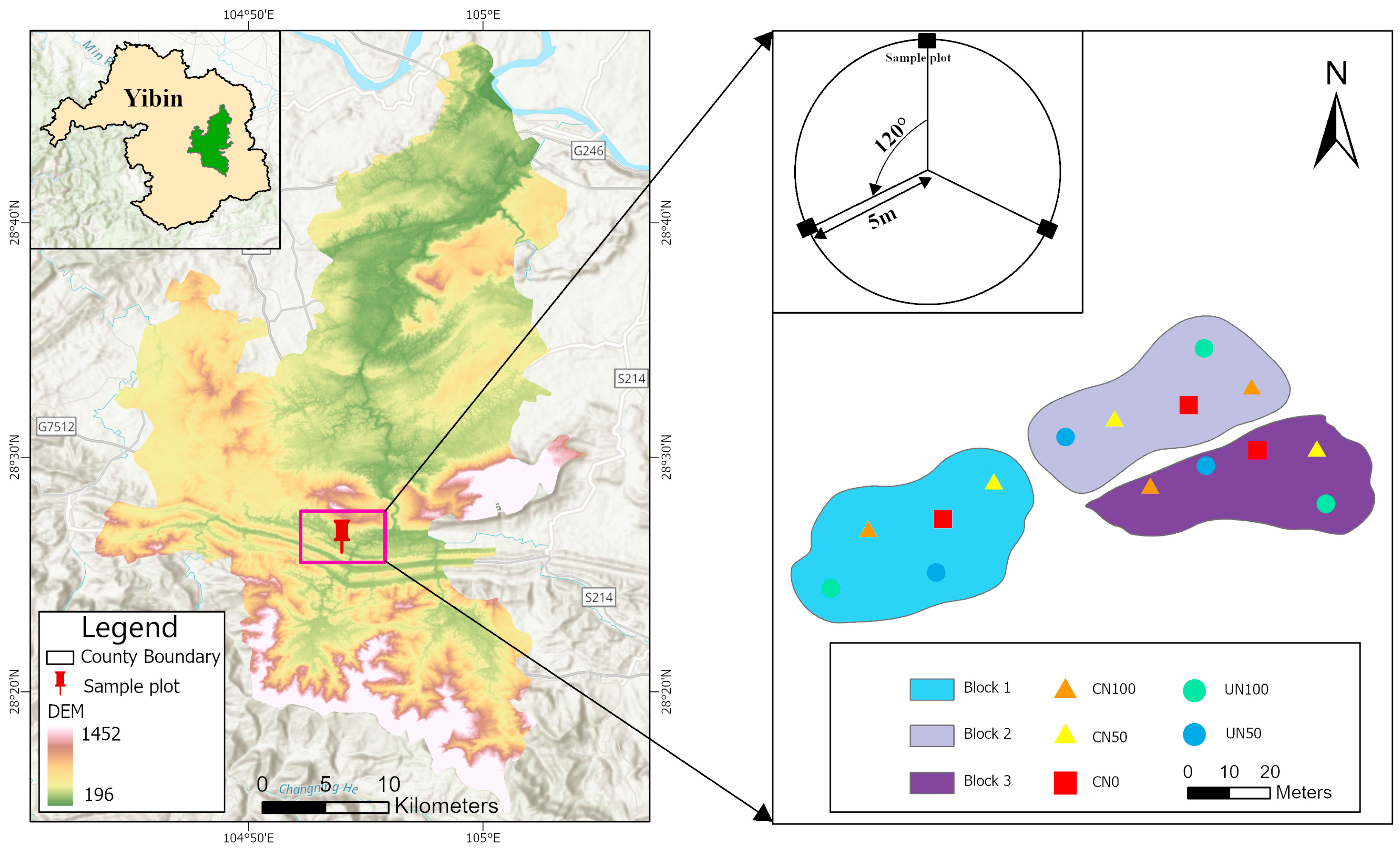 Forests 15 01144 g001