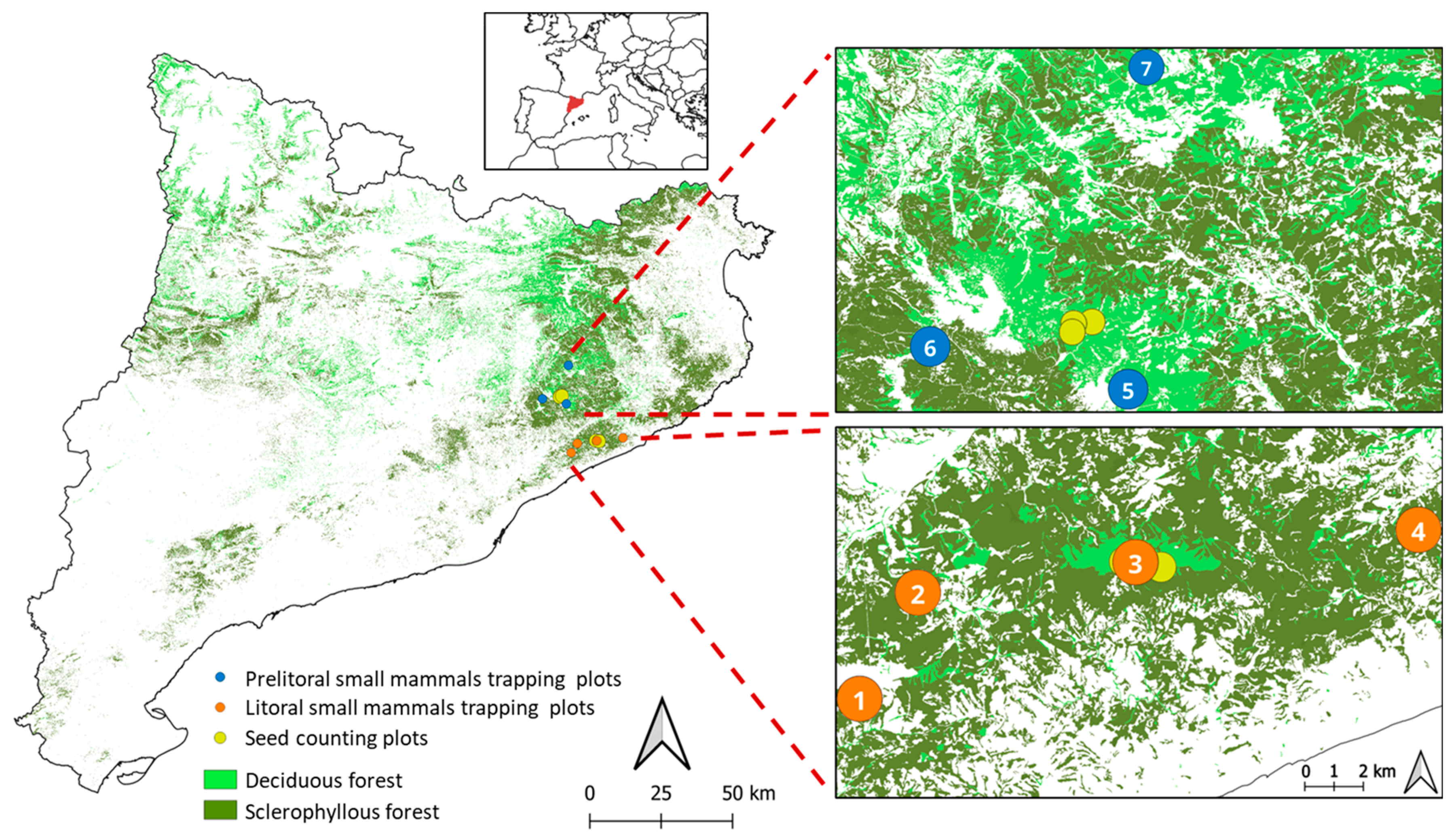 Forests 15 01148 g001