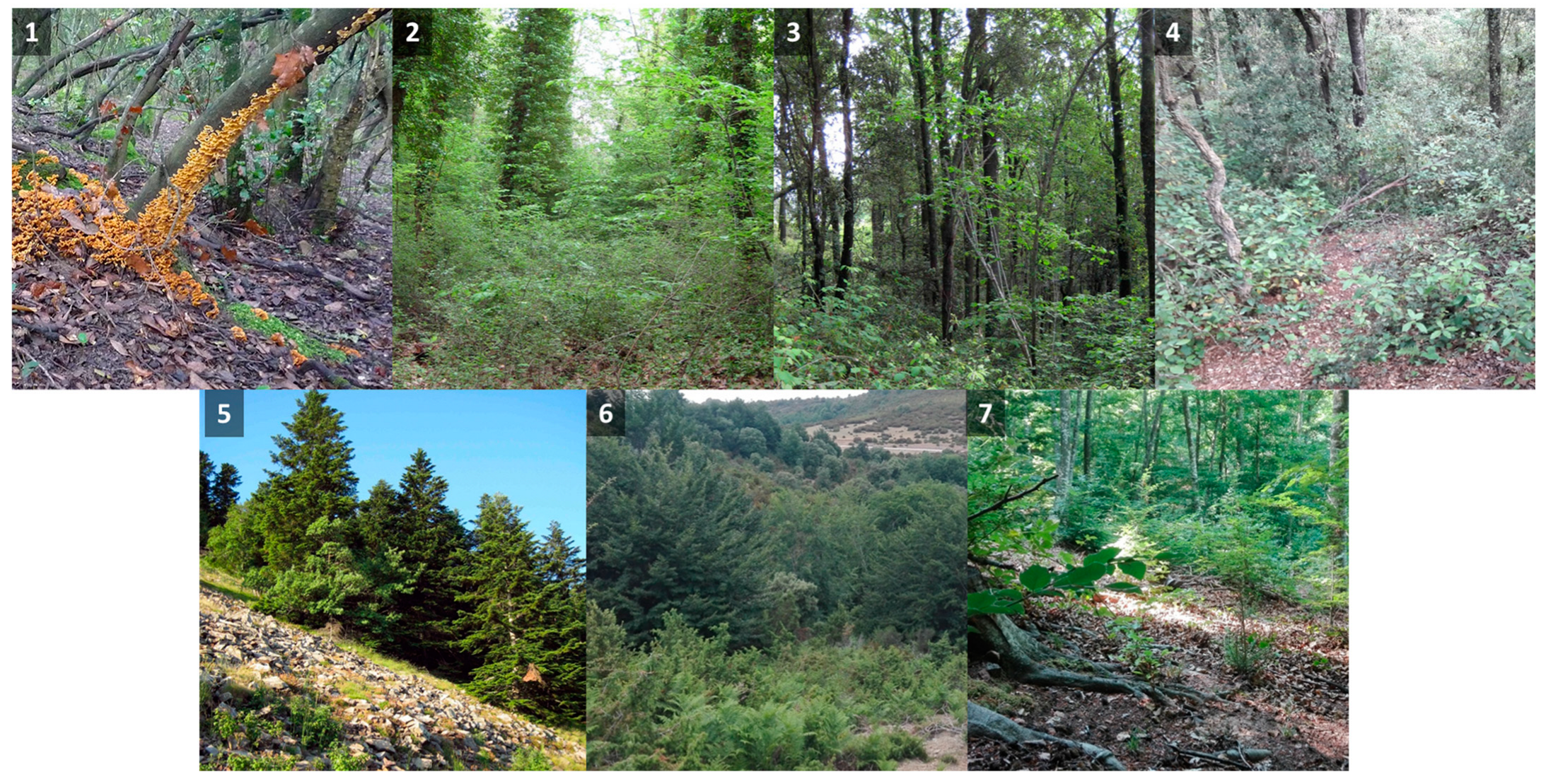 Forests 15 01148 g002