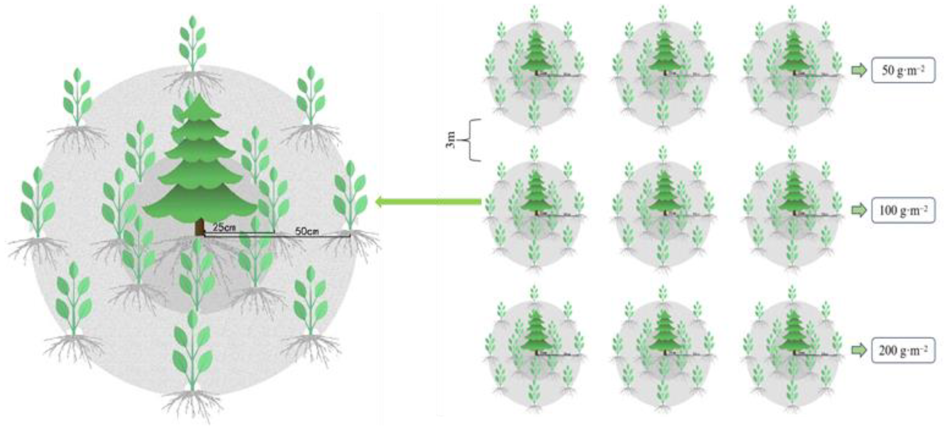 Forests 15 01151 g002