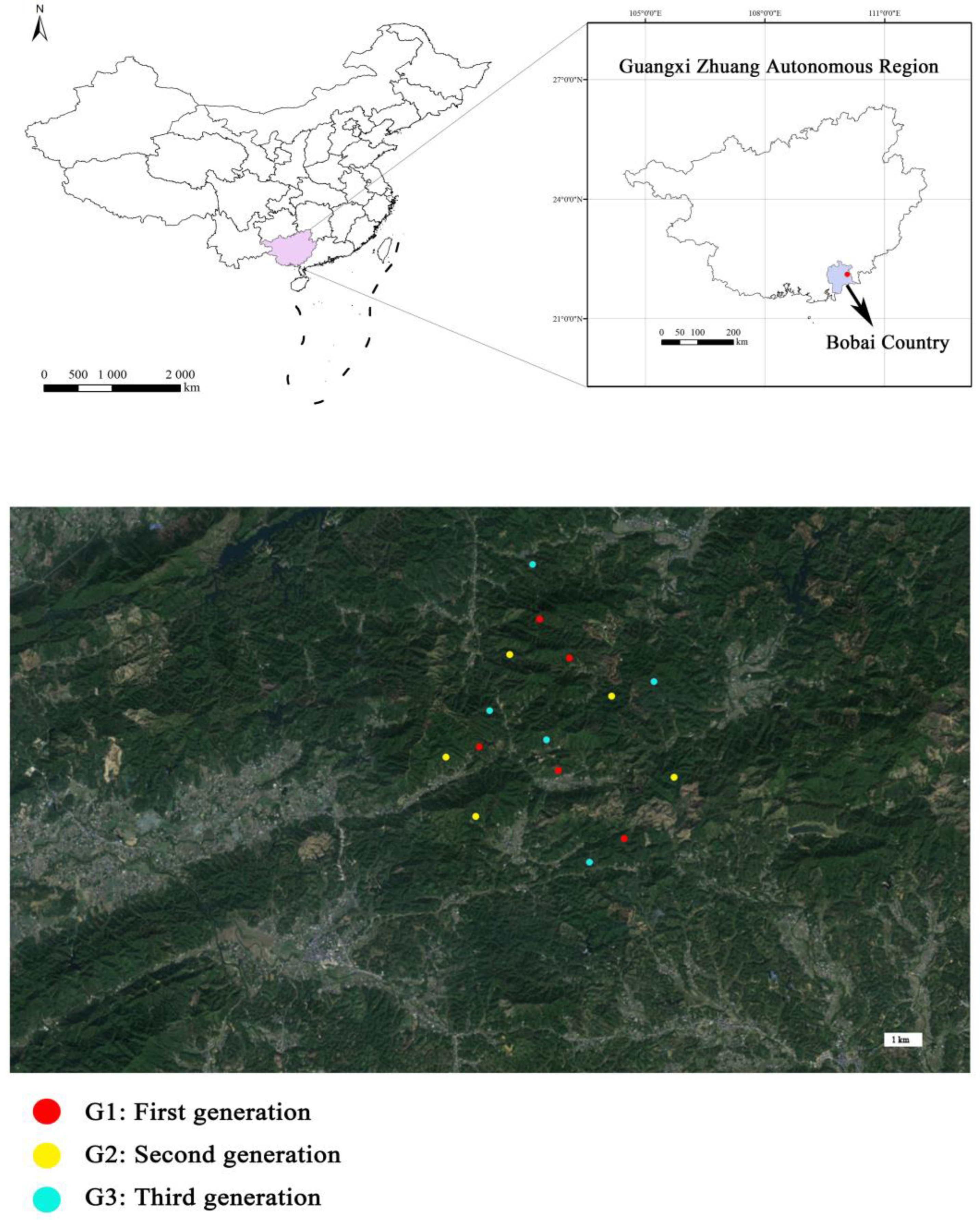 Forests 15 01166 g001