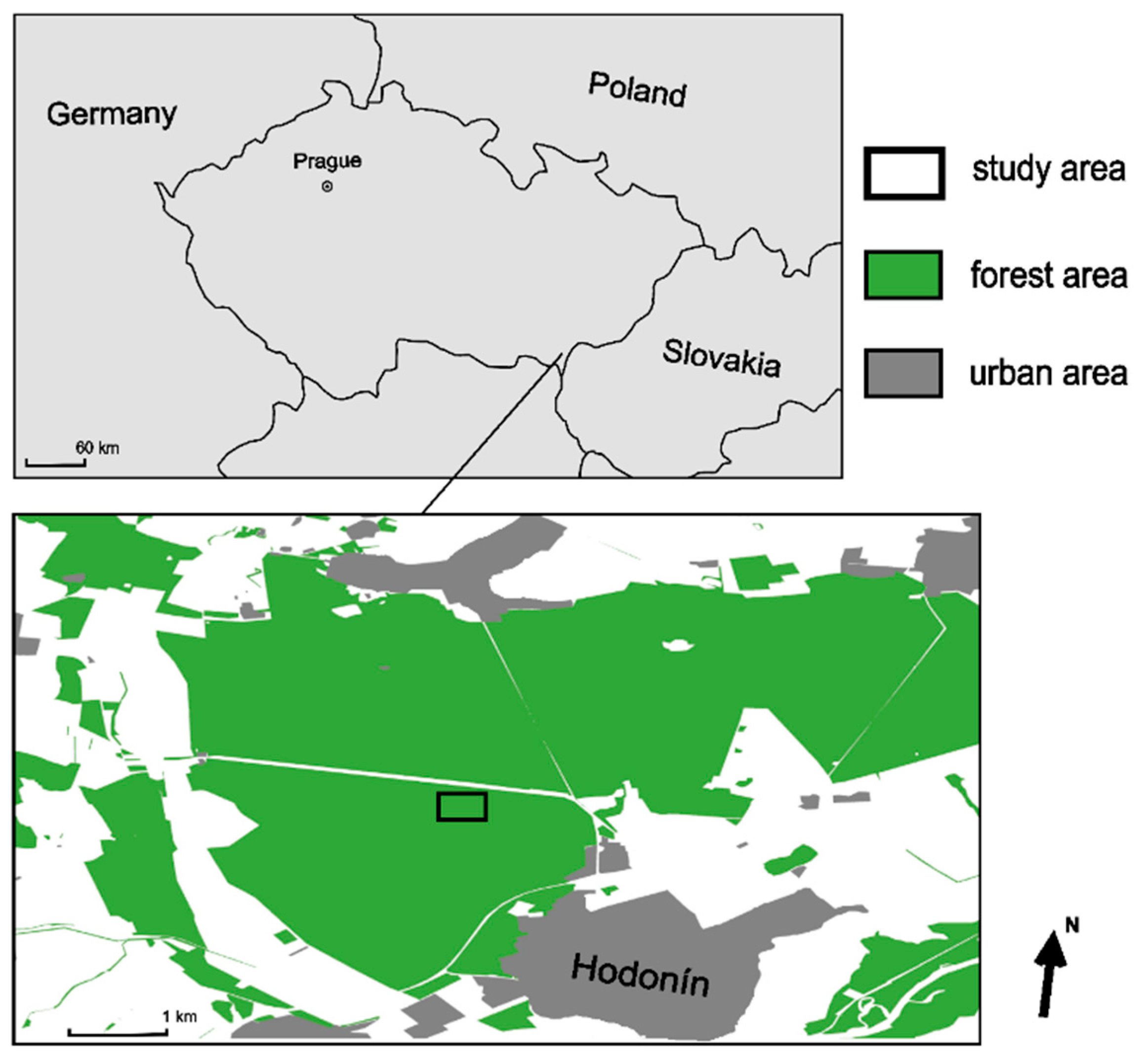 Forests 15 01169 g001