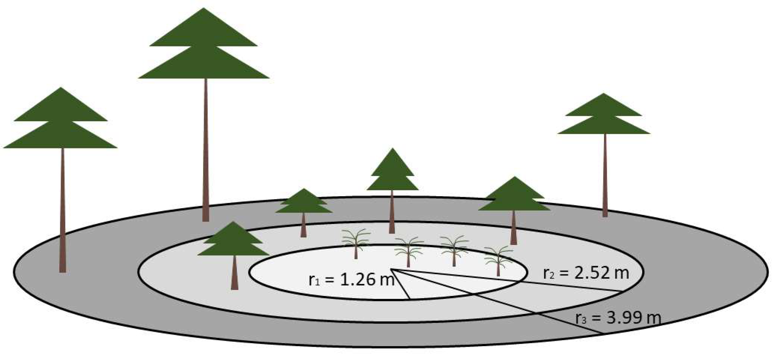 Forests 15 01182 g004