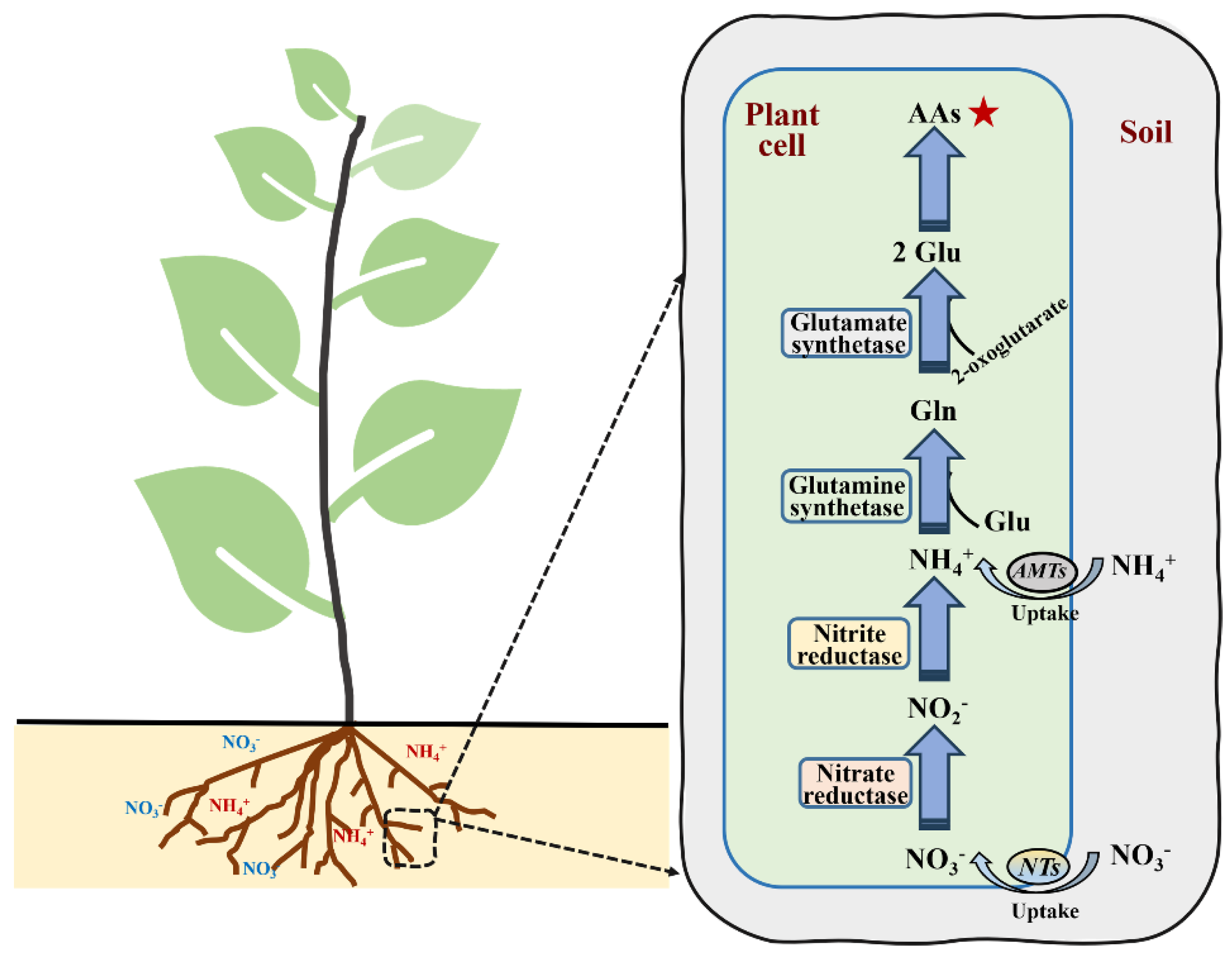 Forests 15 01191 g002
