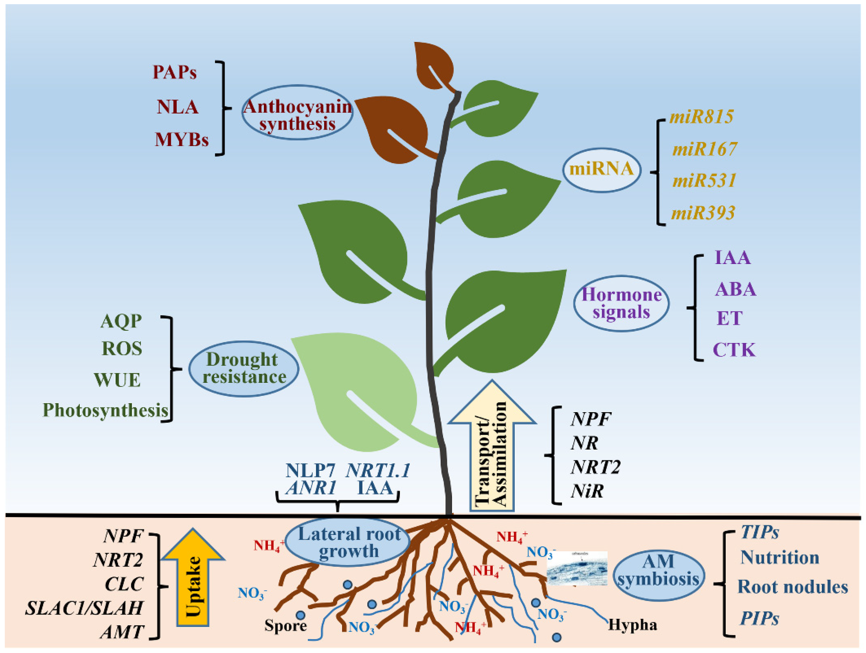 Forests 15 01191 g006