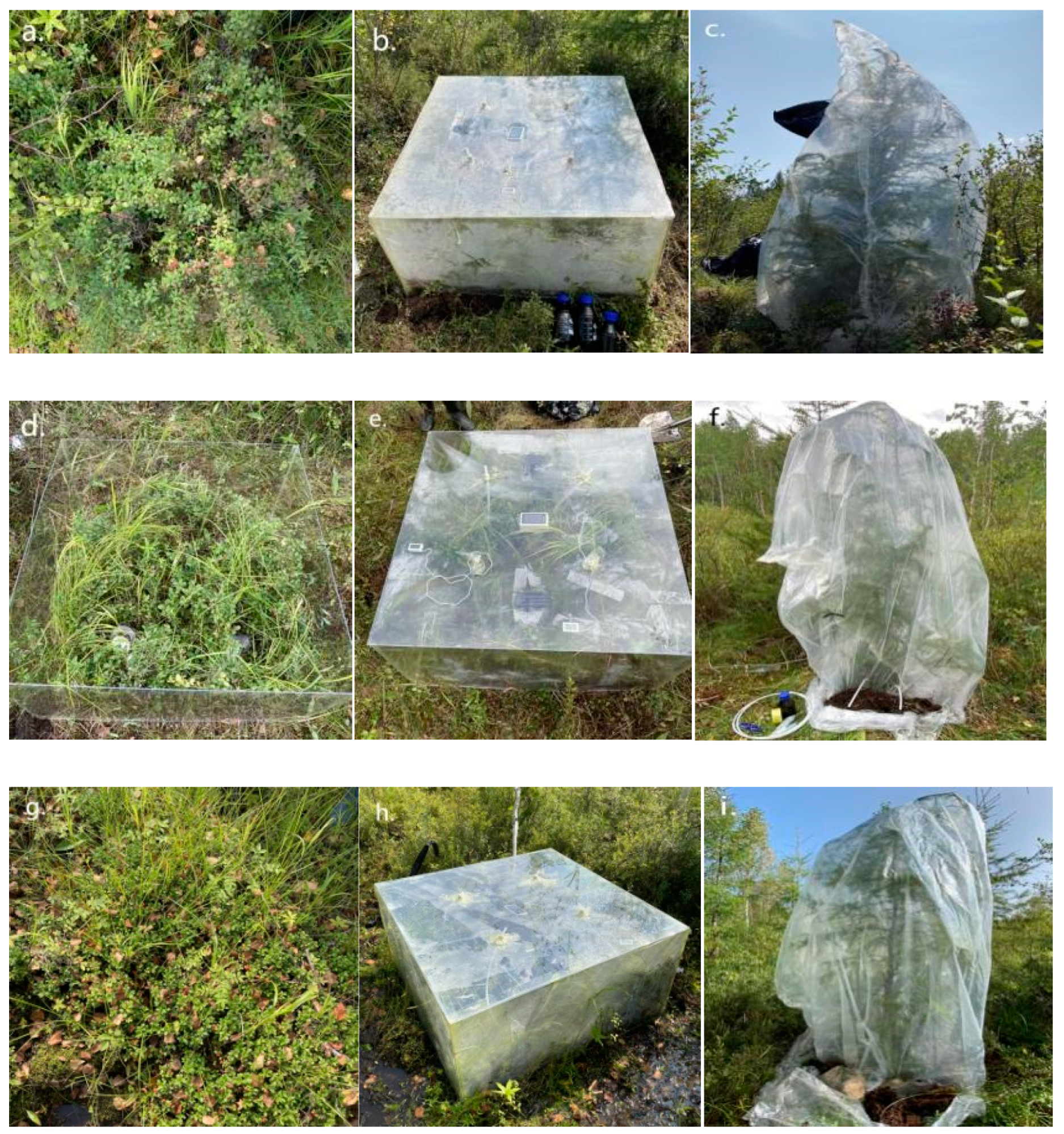 Forests 15 01199 g002