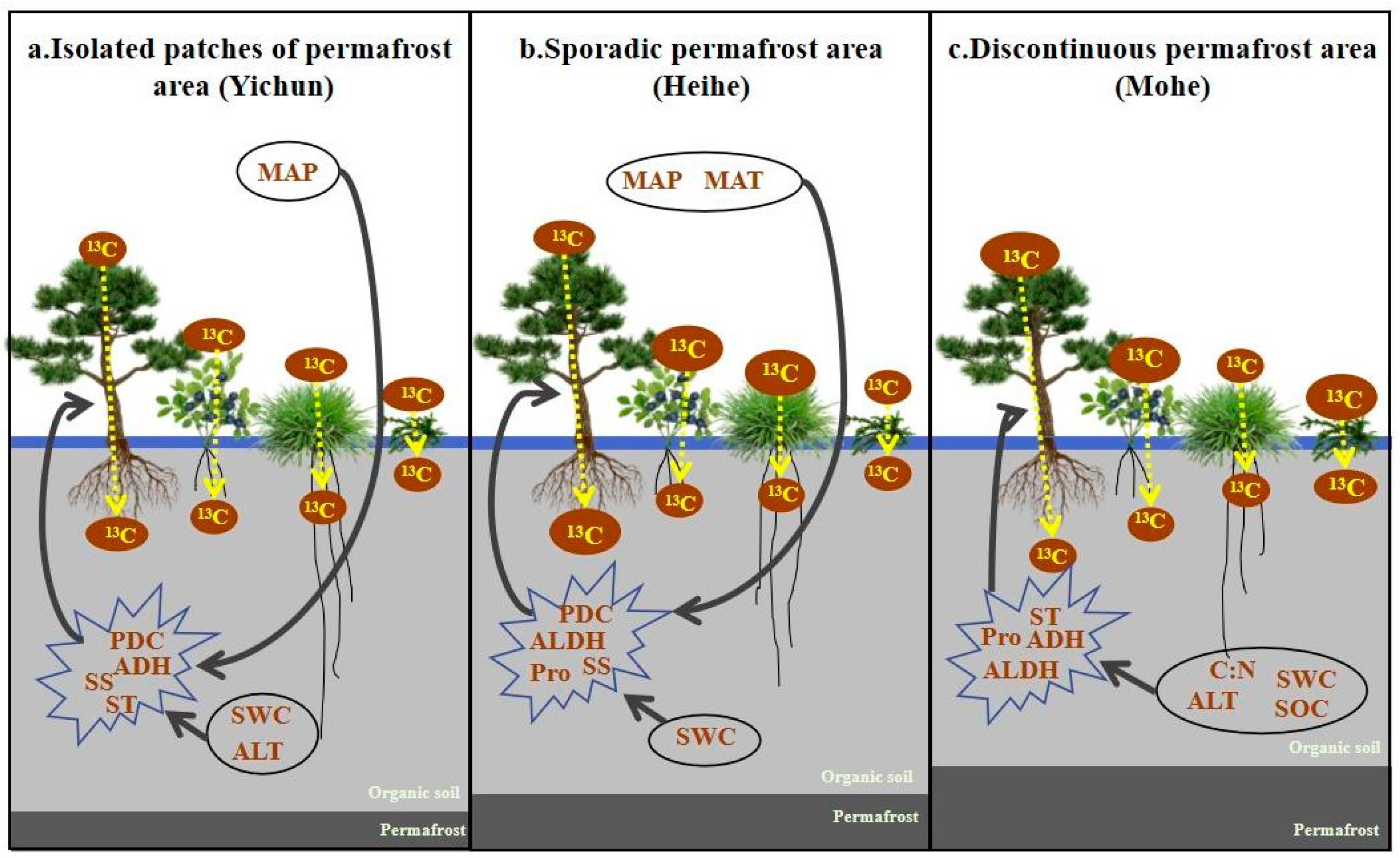 Forests 15 01199 g007