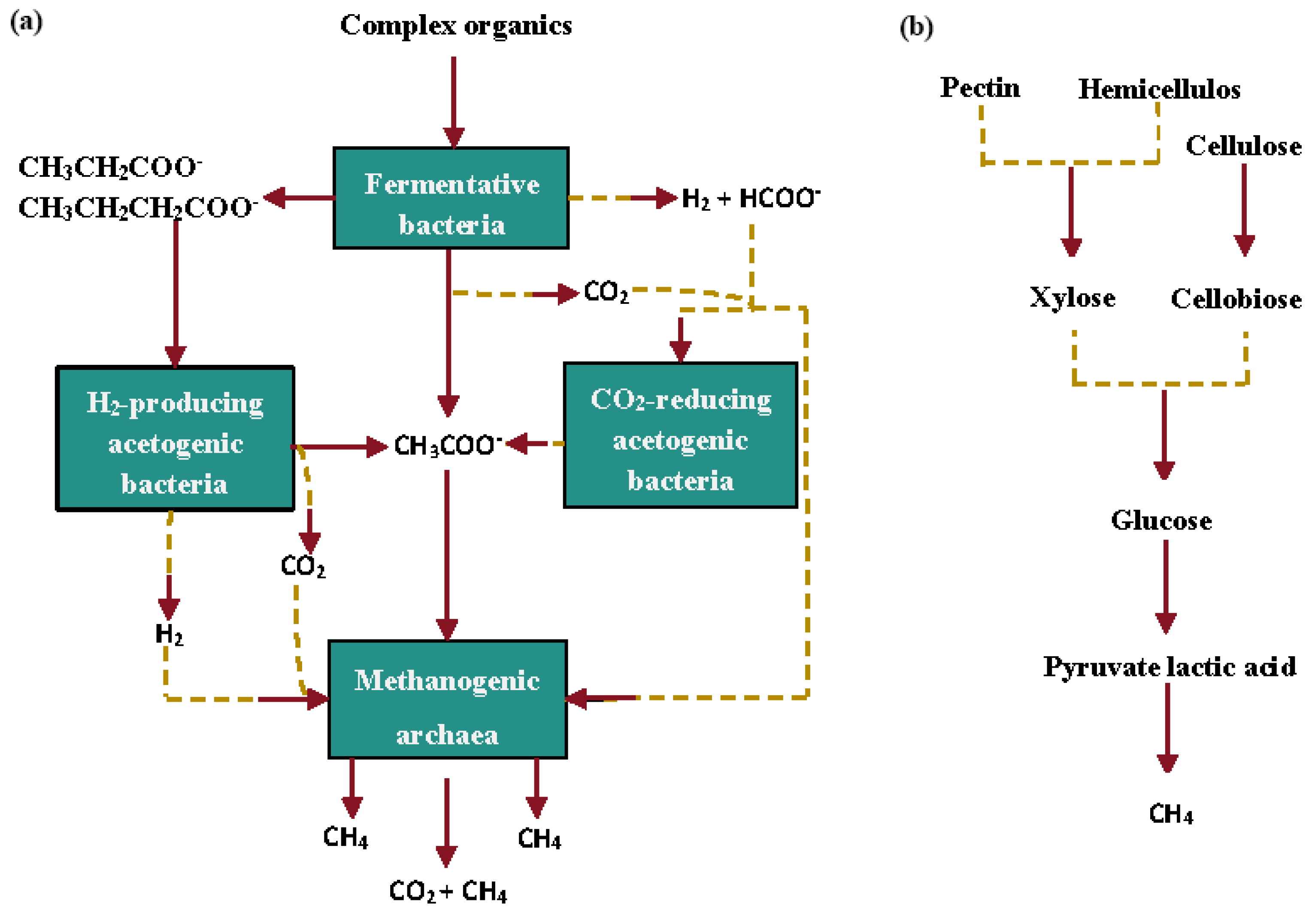 Forests 15 01214 g005