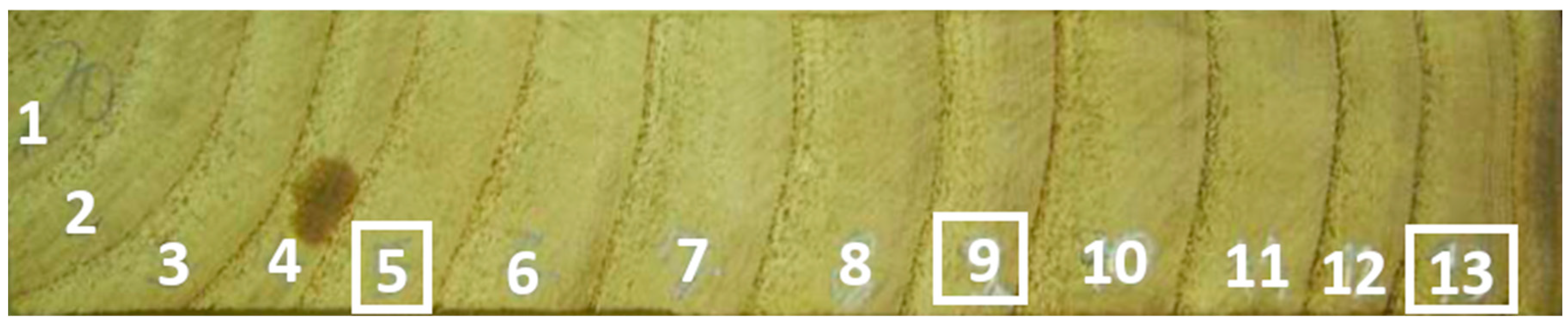 Forests 15 01223 g001