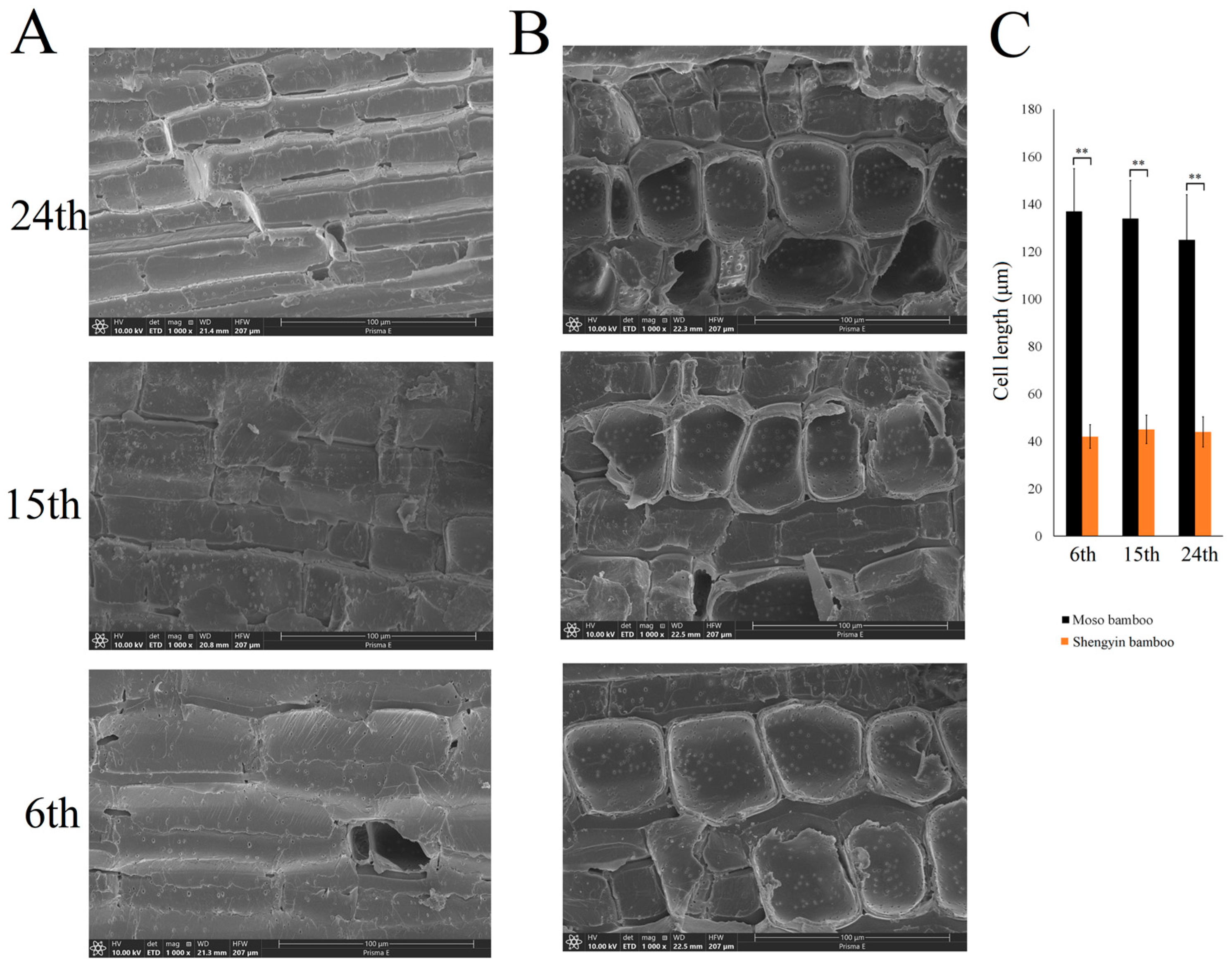 Forests 15 01233 g001