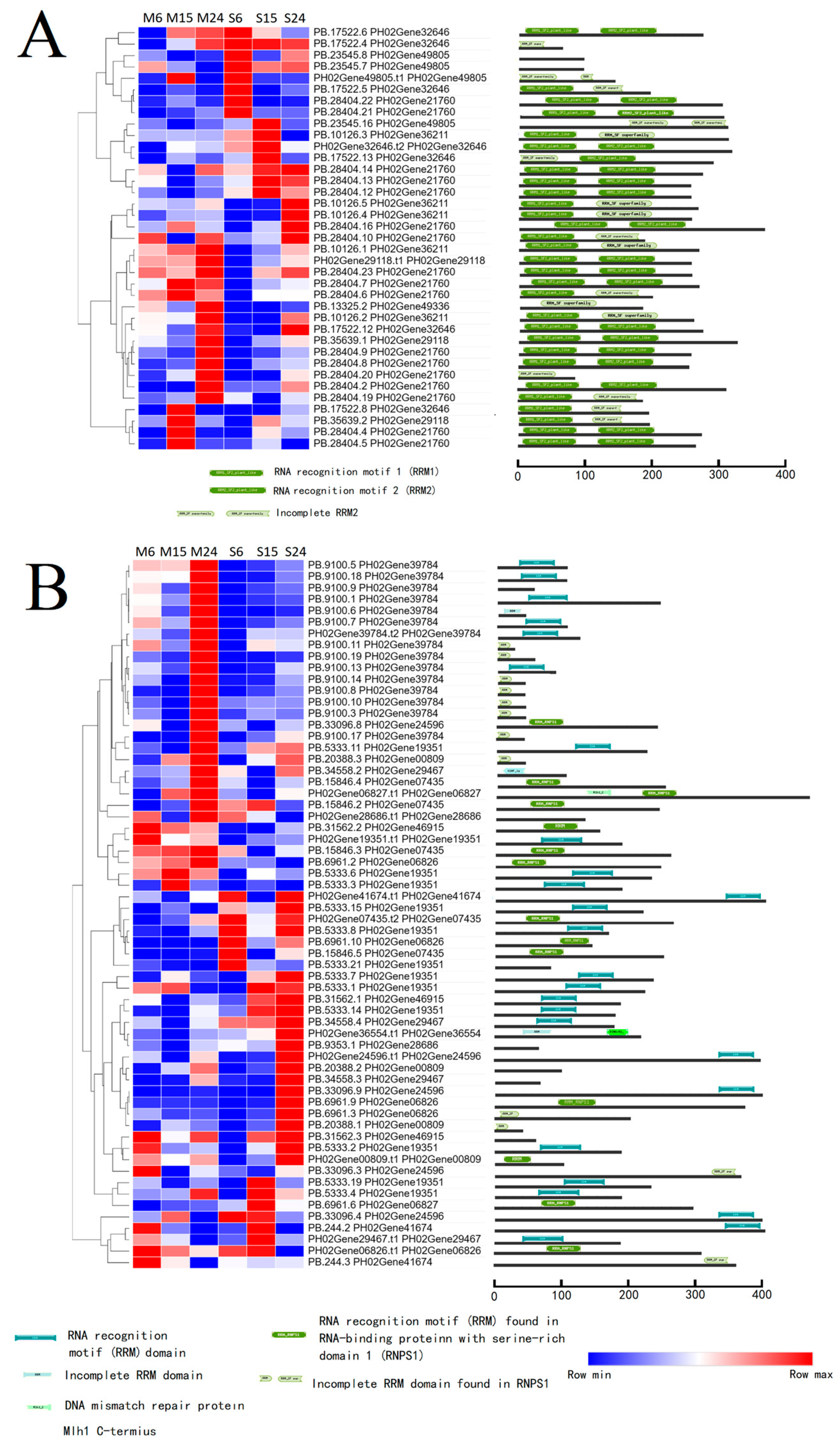 Forests 15 01233 g006